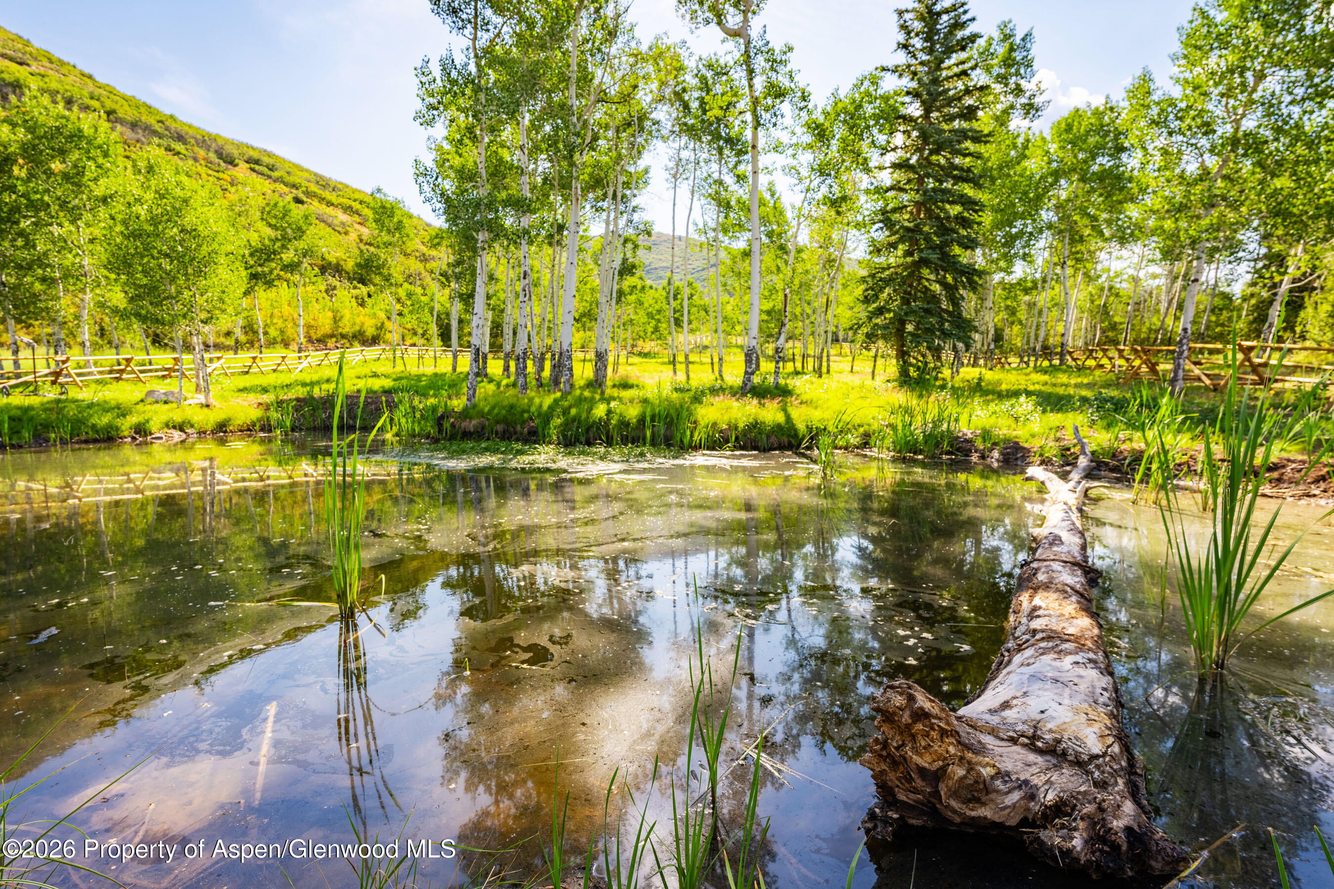 8500 & Tbd Snowmass Creek Road Snowmass CO 81654