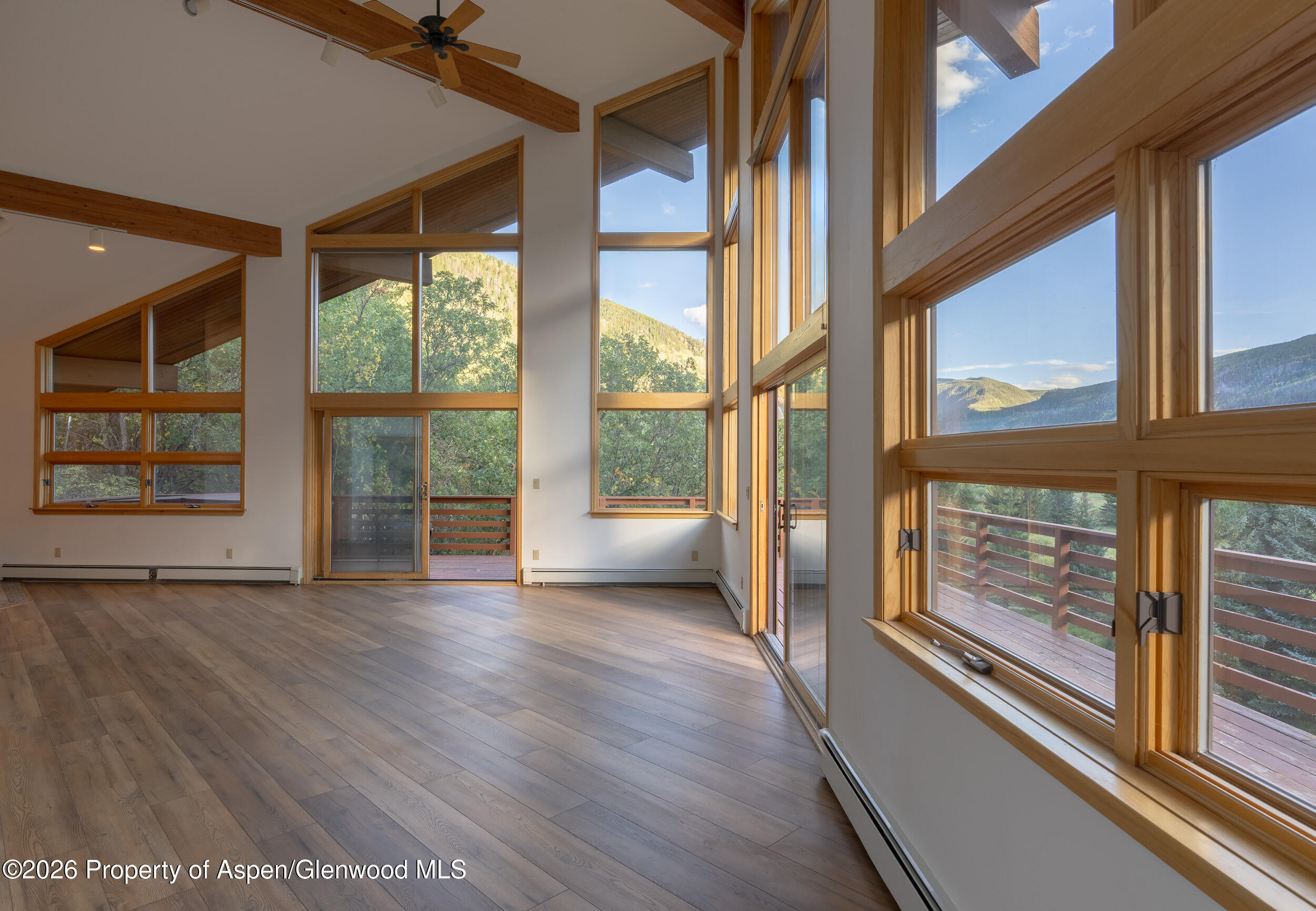 368 E Lupine Drive Aspen CO 81611