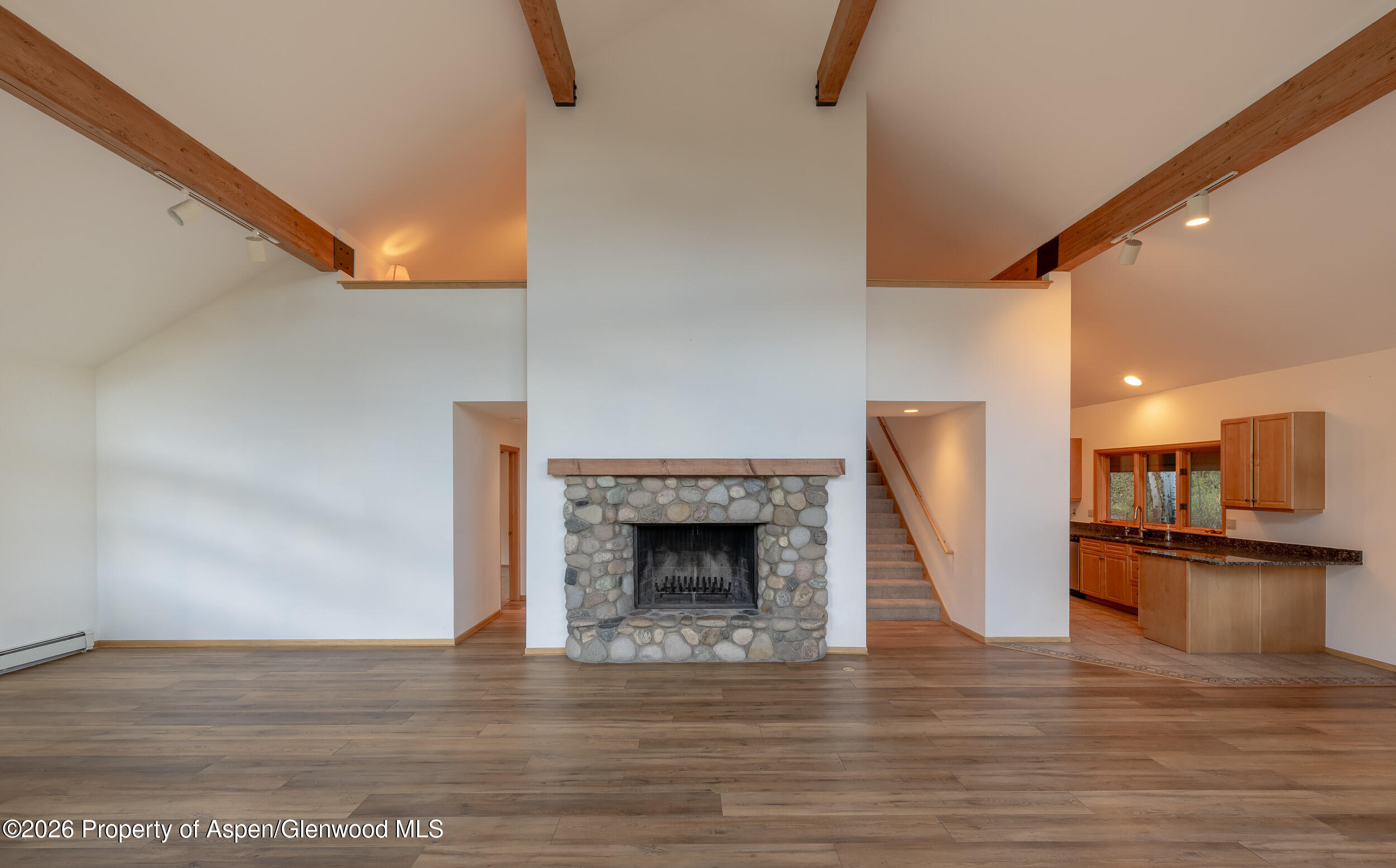 368 E Lupine Drive Aspen CO 81611