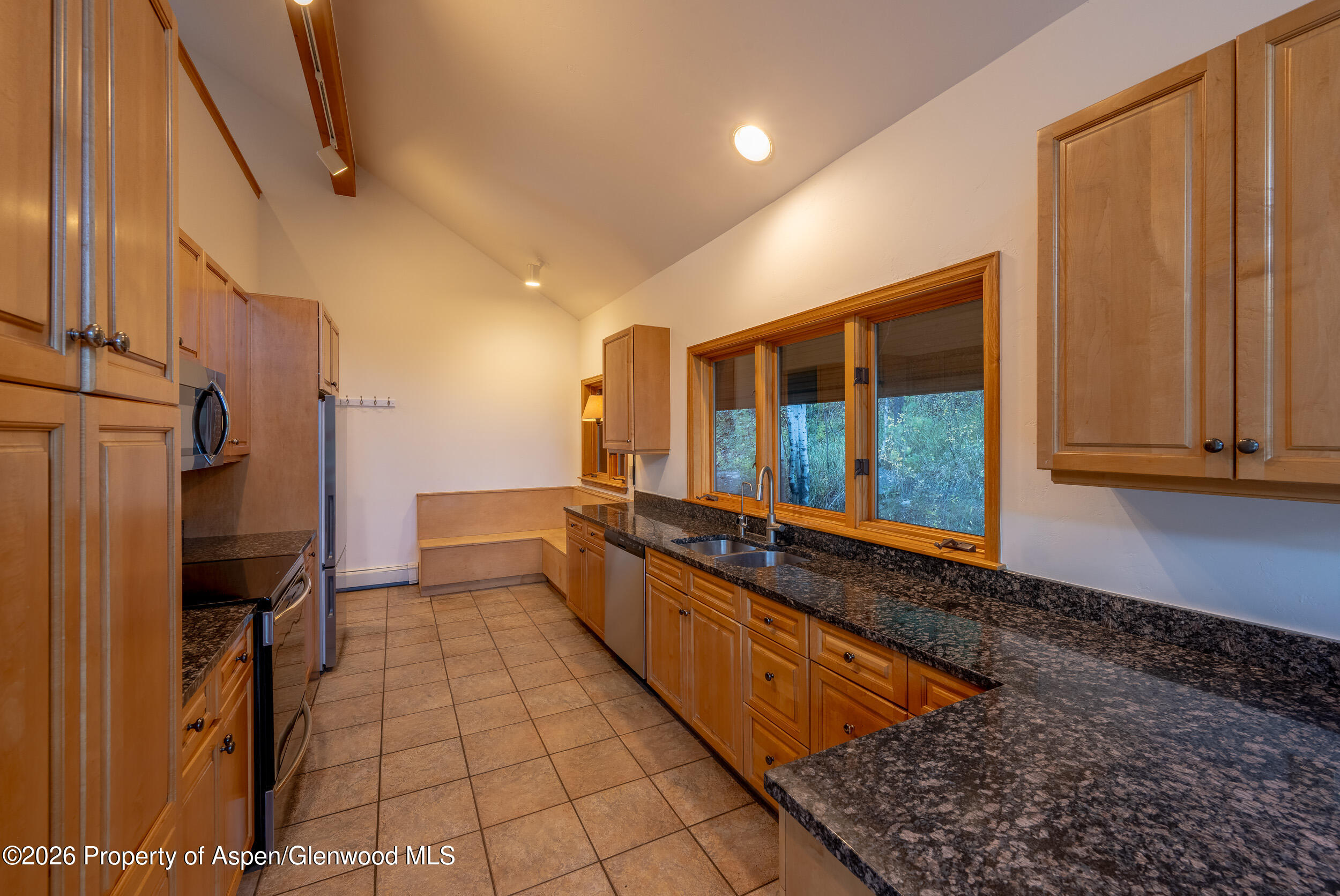 368 E Lupine Drive Aspen CO 81611