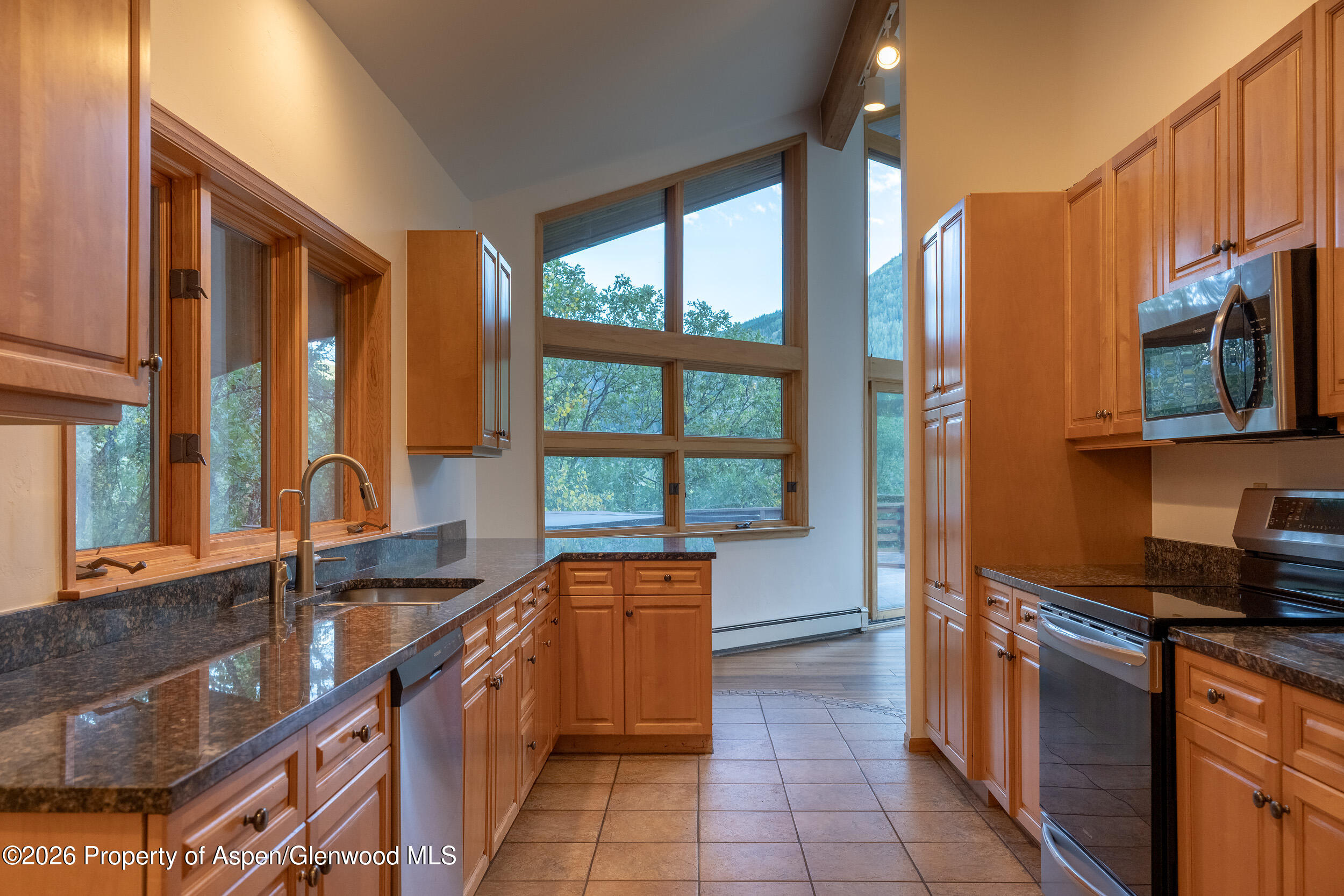 368 E Lupine Drive Aspen CO 81611