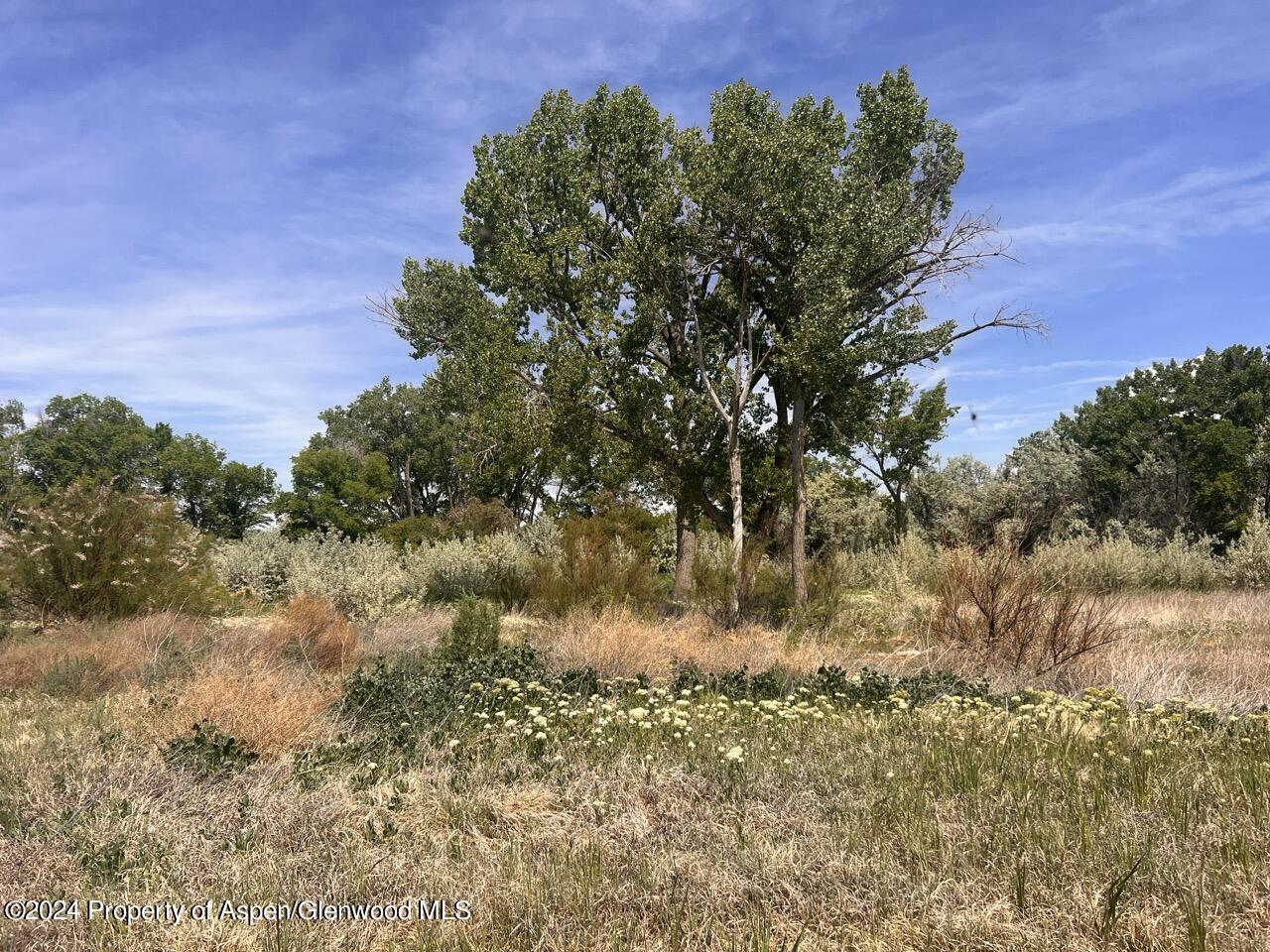 6617 5700 Road Olathe CO 81425