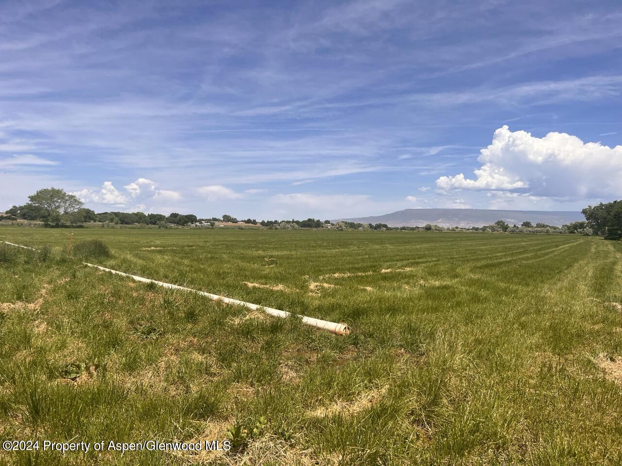 6617 5700 Road Olathe CO 81425