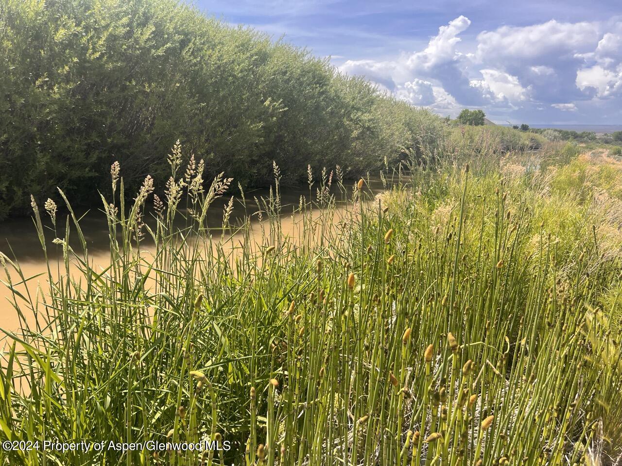 6617 5700 Road Olathe CO 81425