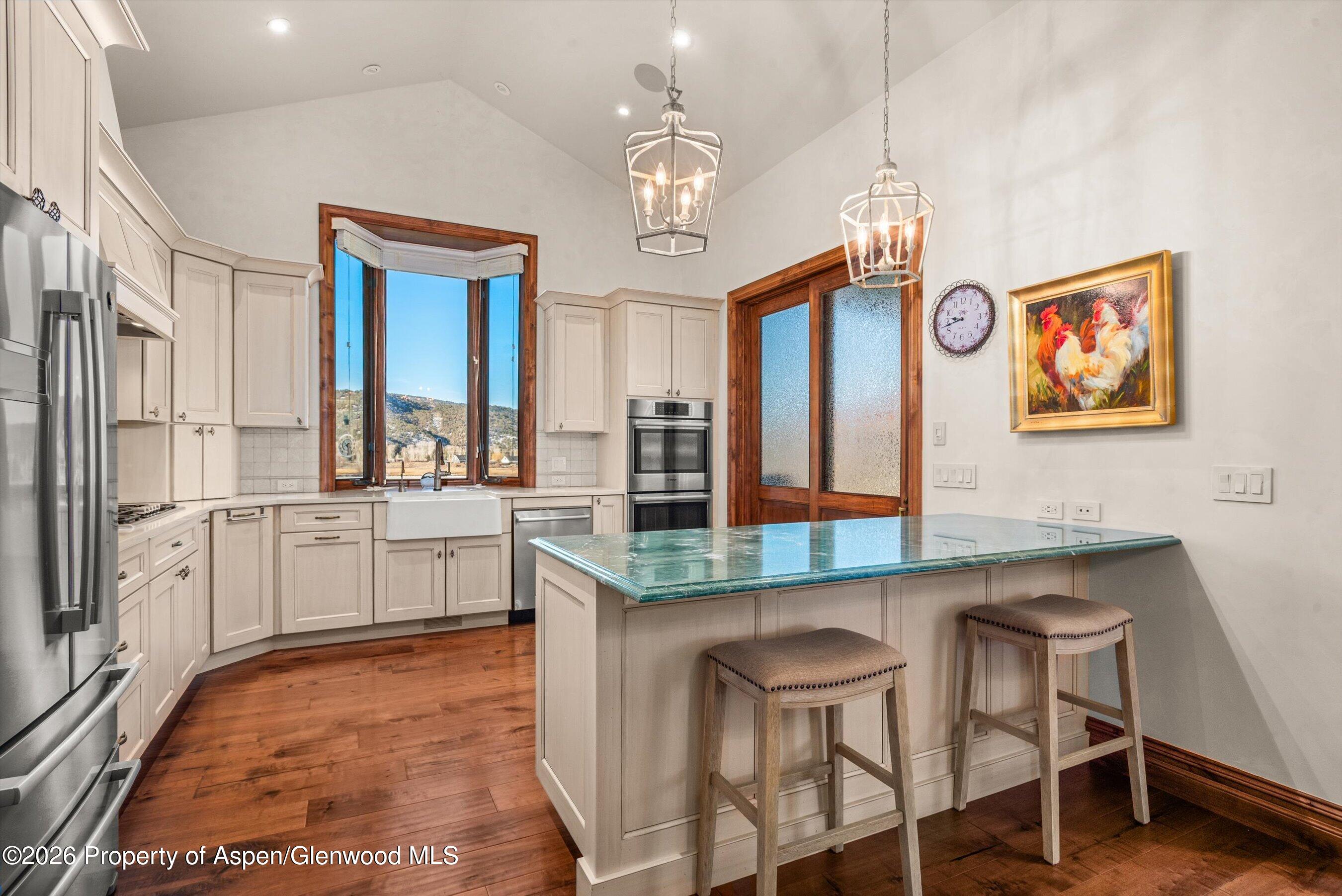 19 Buckskin Court Carbondale CO 81623