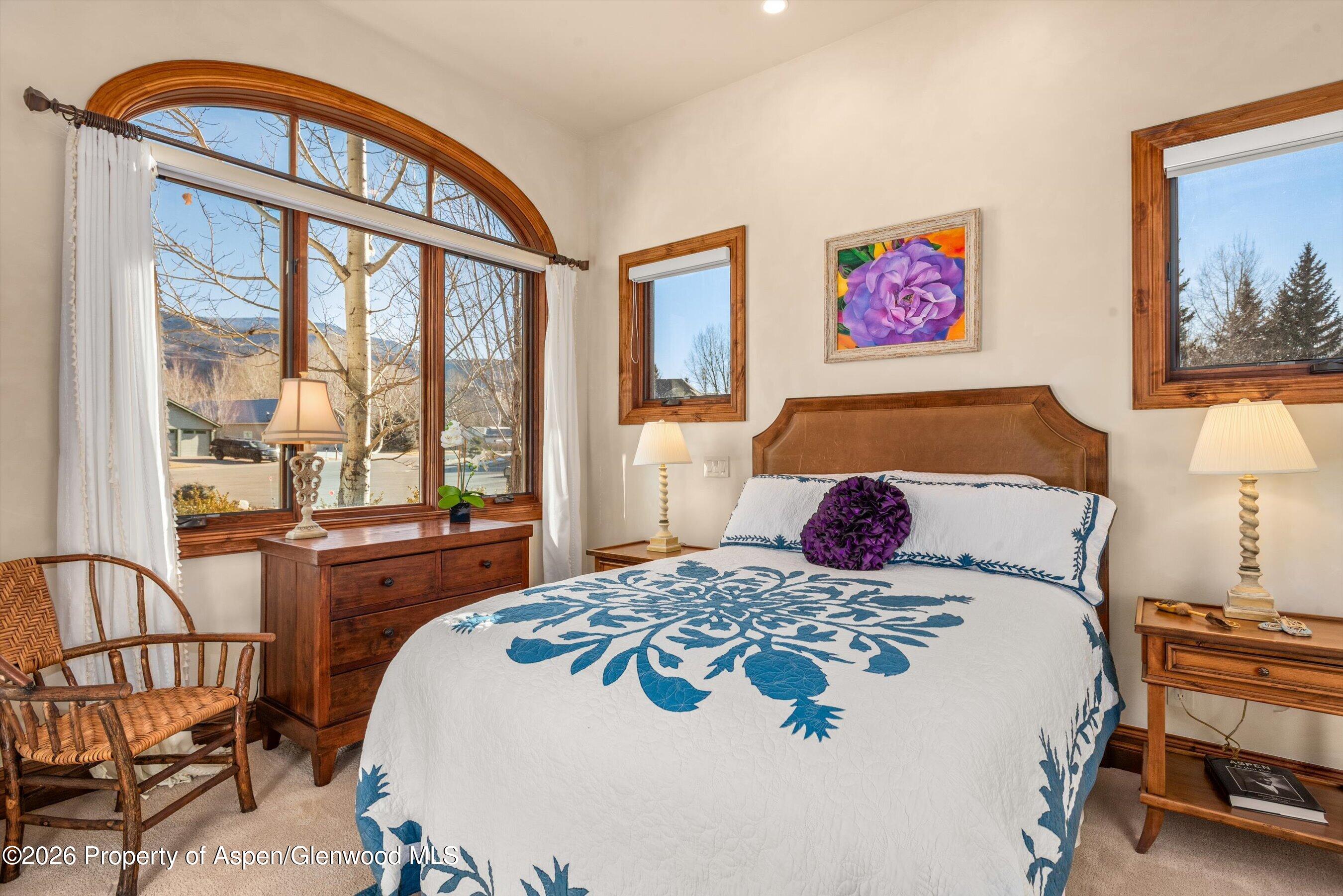 19 Buckskin Court Carbondale CO 81623