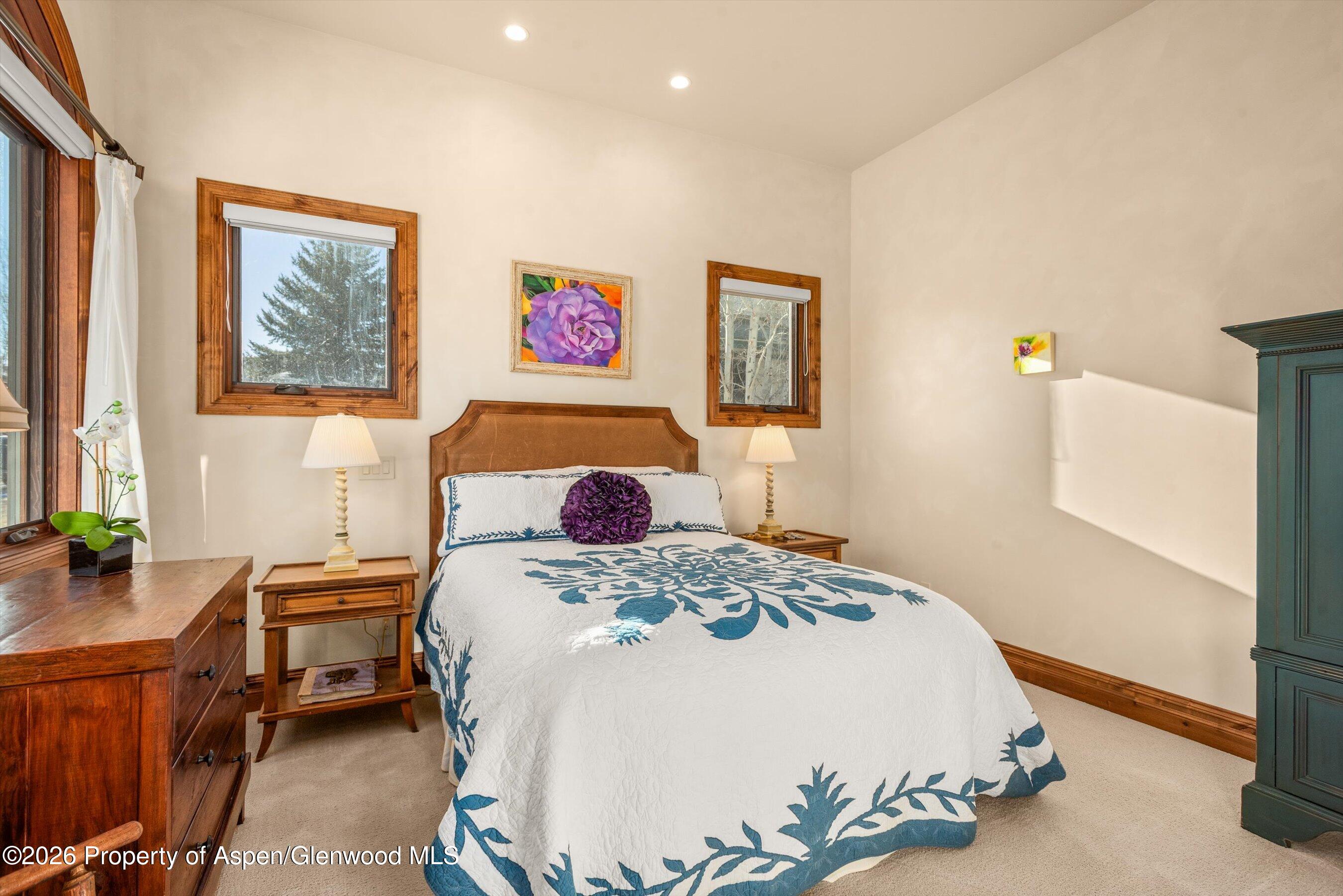 19 Buckskin Court Carbondale CO 81623