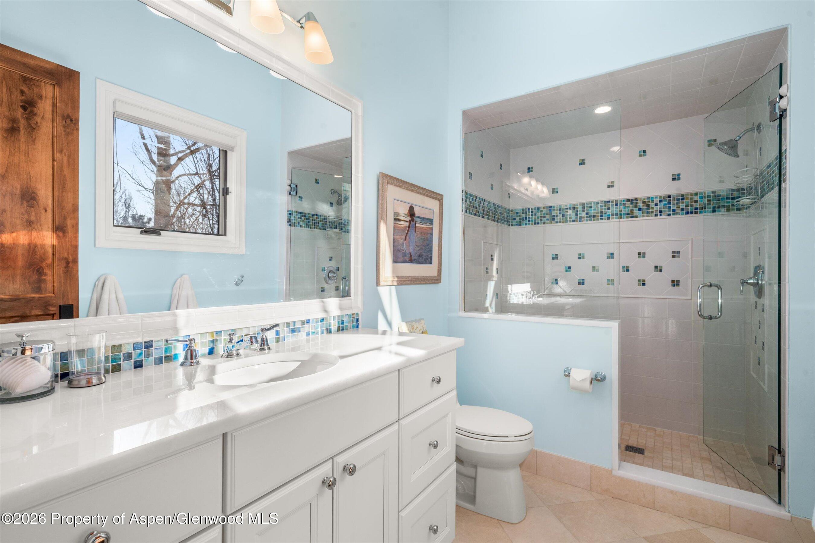 19 Buckskin Court Carbondale CO 81623