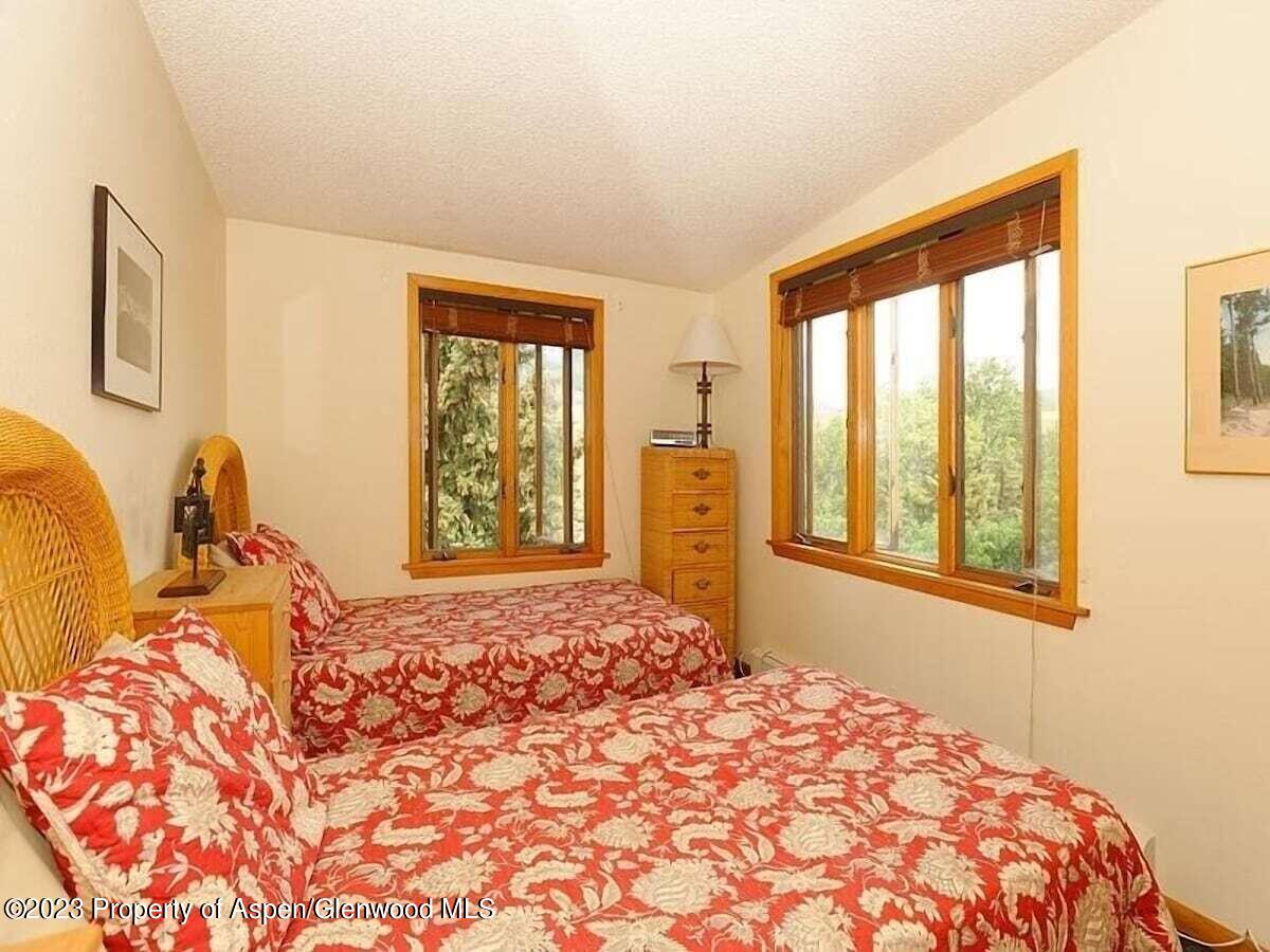 324 Twining Flats Road Woody Creek CO 81656