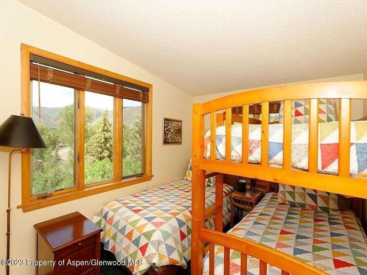 324 Twining Flats Road Woody Creek CO 81656