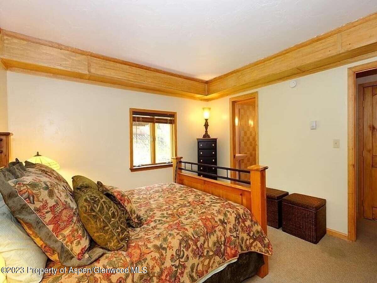 324 Twining Flats Road Woody Creek CO 81656