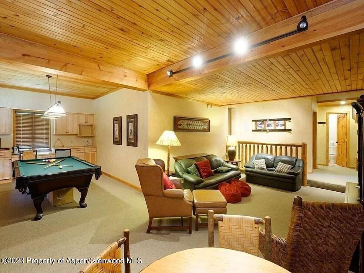 324 Twining Flats Road Woody Creek CO 81656