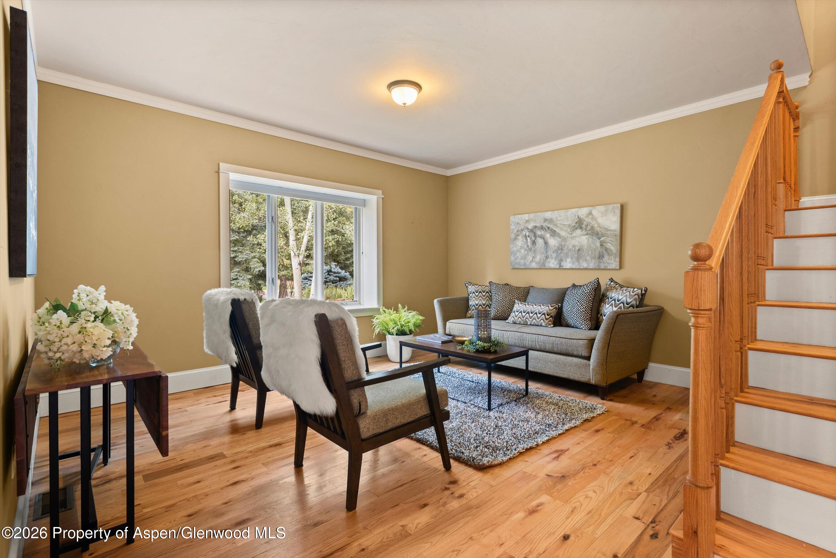 28 Crystal Park Drive Carbondale CO 81623