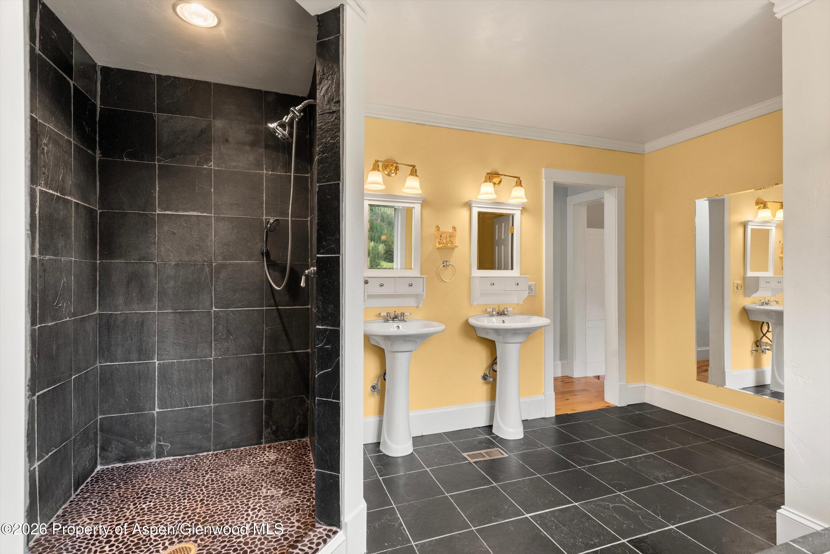 28 Crystal Park Drive Carbondale CO 81623