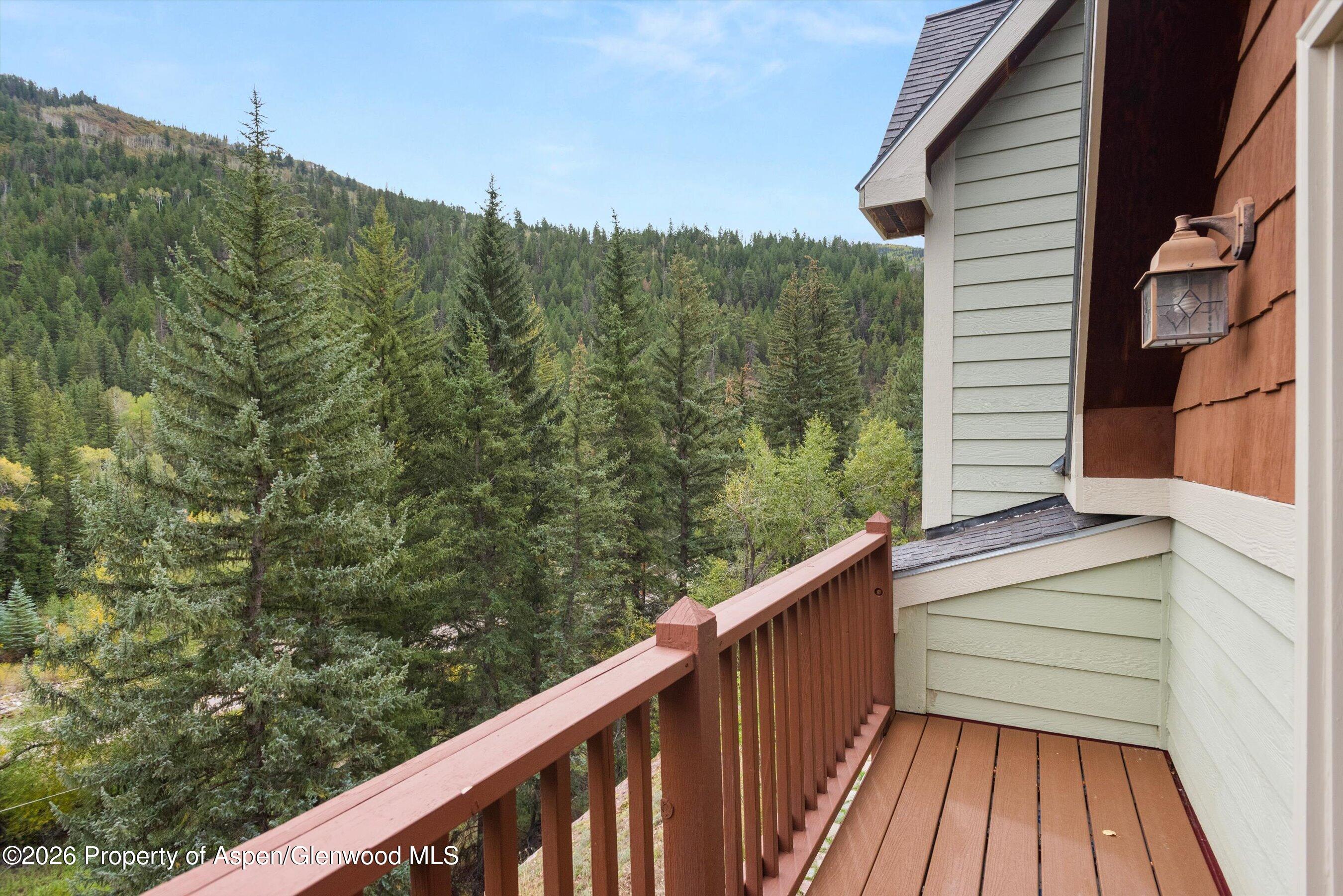 28 Crystal Park Drive Carbondale CO 81623