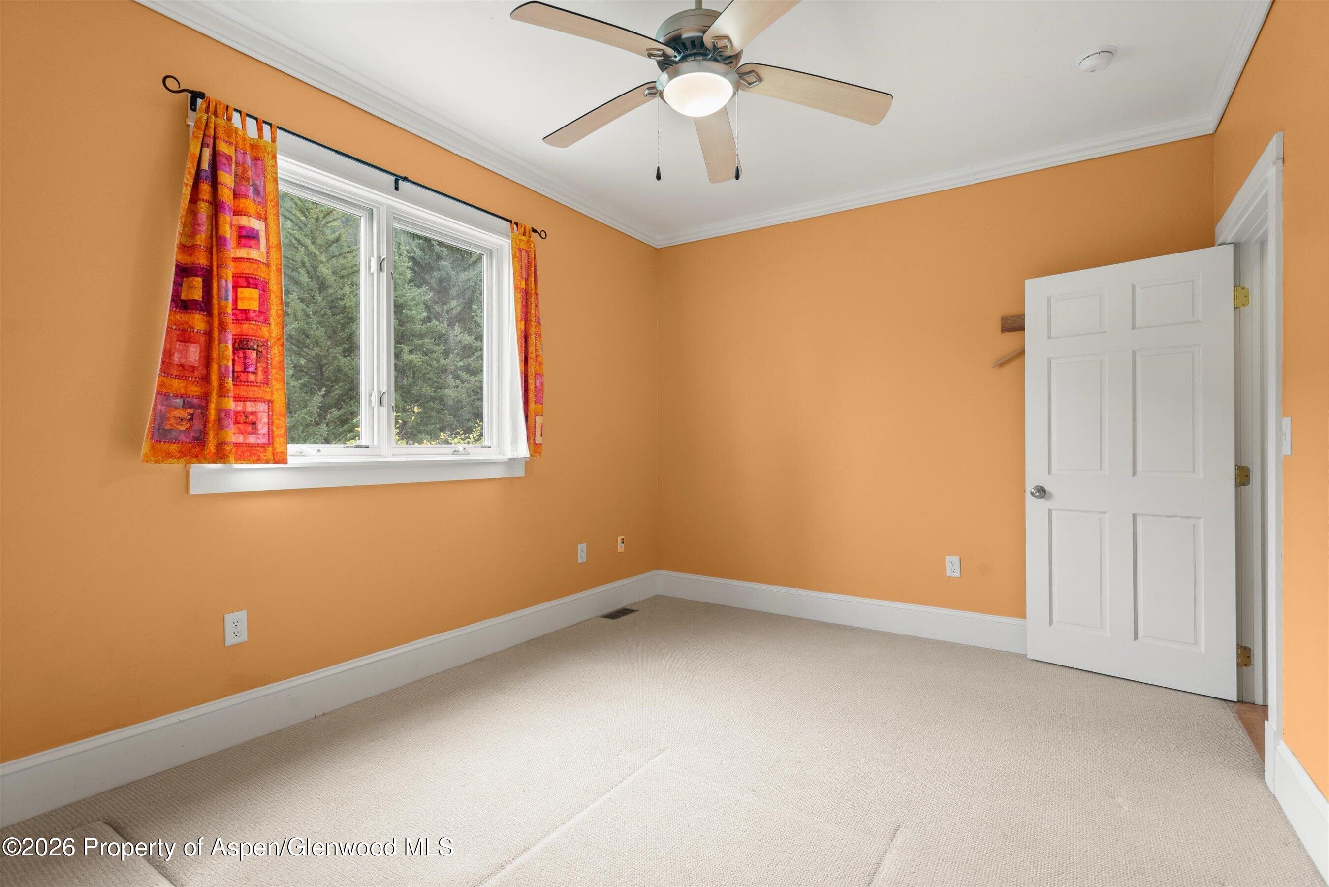 28 Crystal Park Drive Carbondale CO 81623