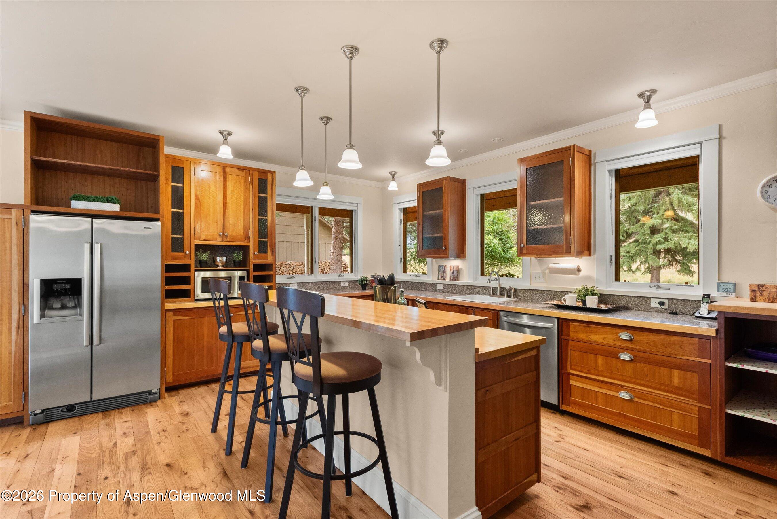 28 Crystal Park Drive Carbondale CO 81623