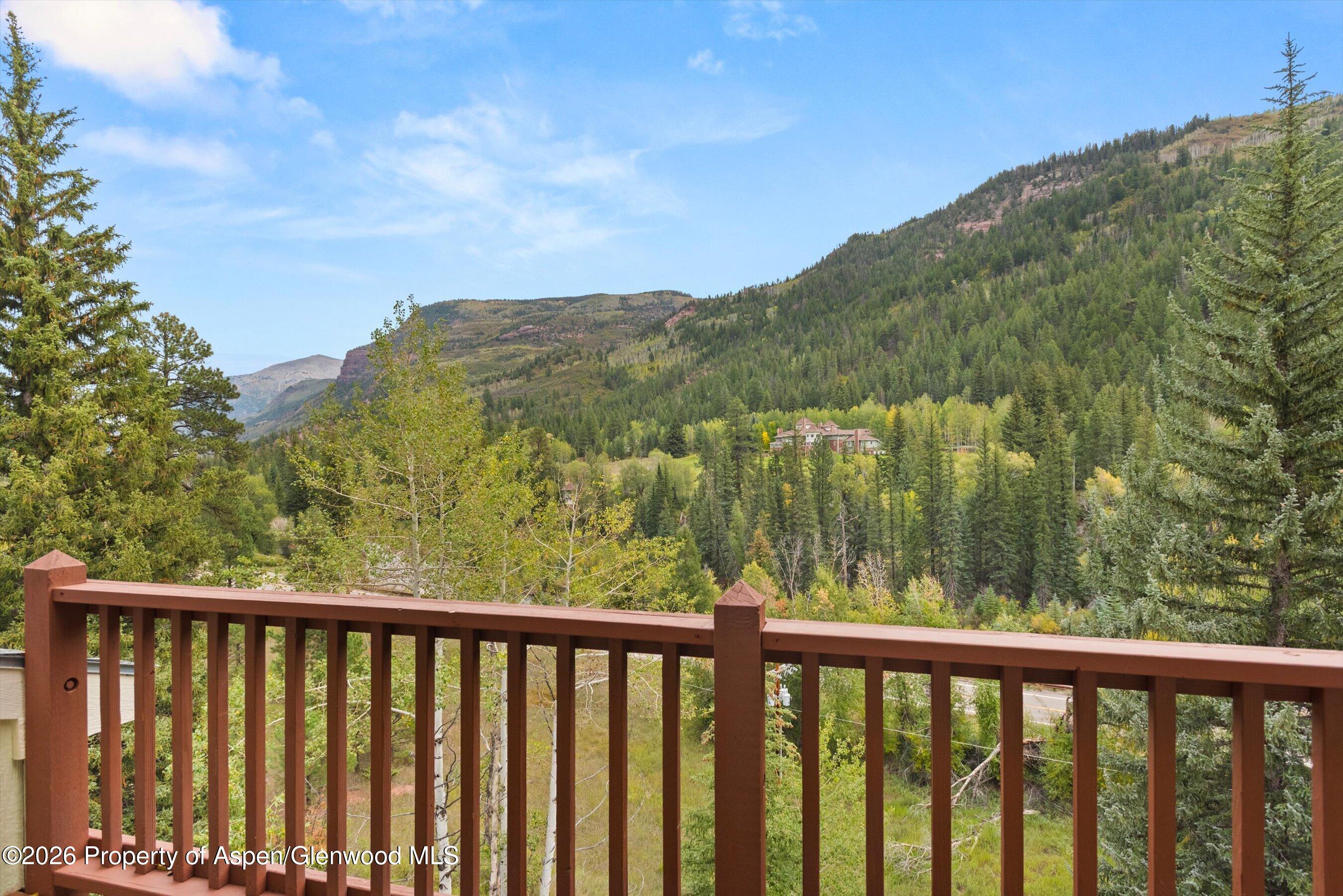 28 Crystal Park Drive Carbondale CO 81623
