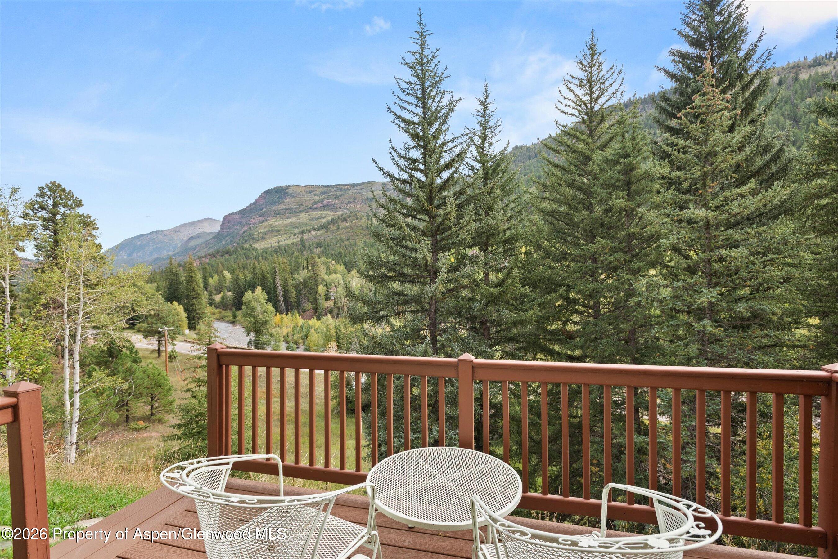 28 Crystal Park Drive Carbondale CO 81623