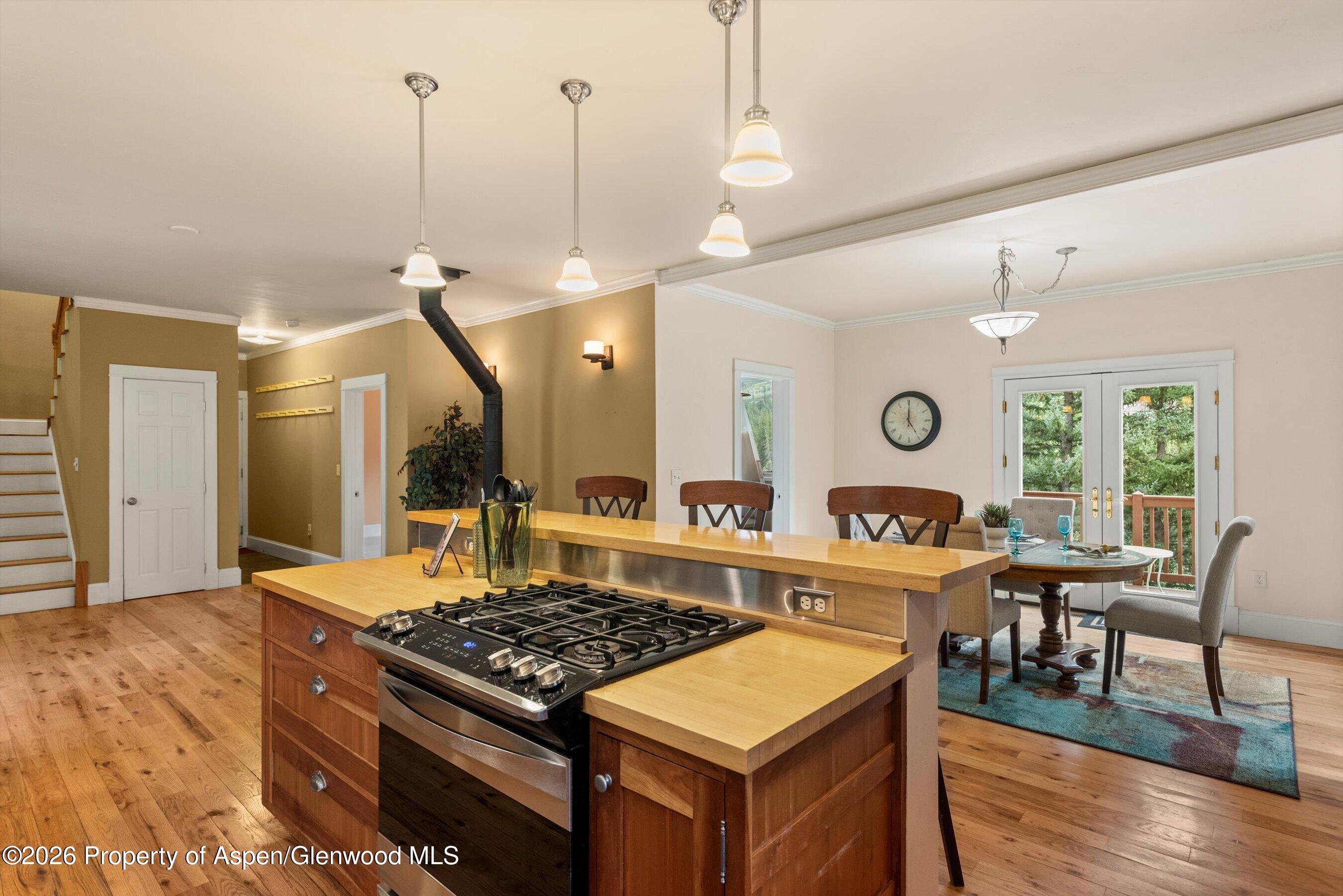 28 Crystal Park Drive Carbondale CO 81623