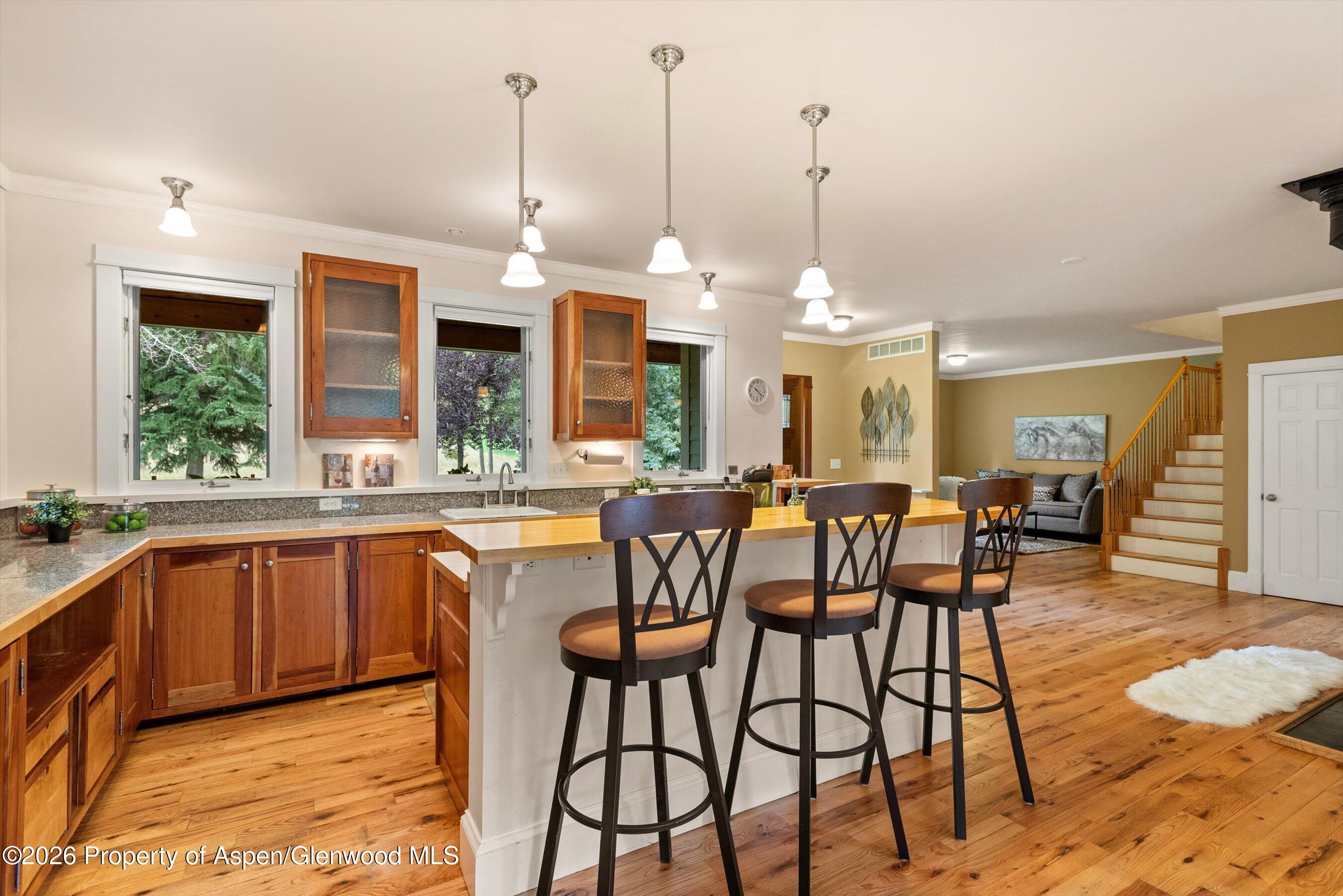 28 Crystal Park Drive Carbondale CO 81623