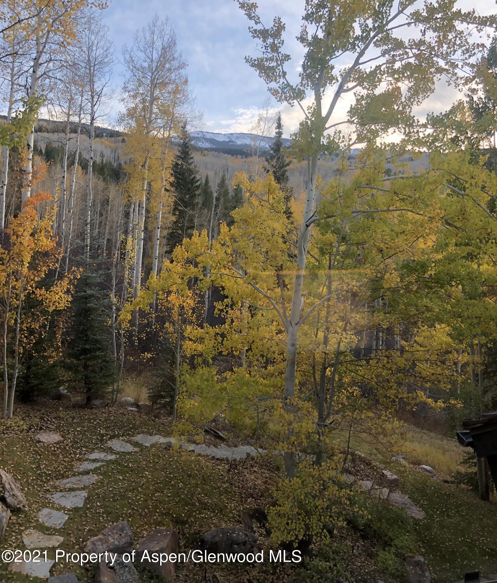 389 Pine Crest Drive Snowmass Village CO 81615