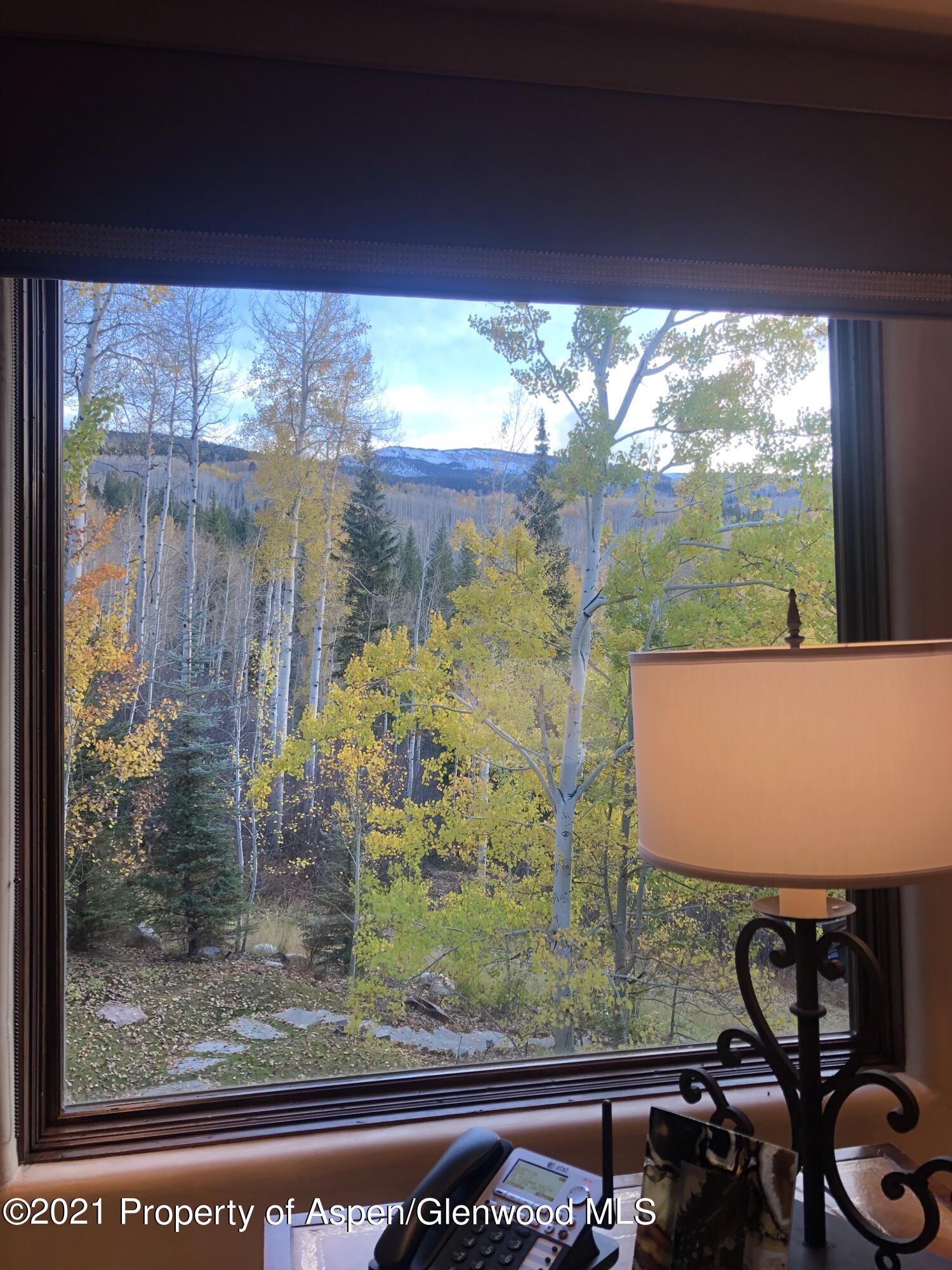 389 Pine Crest Drive Snowmass Village CO 81615