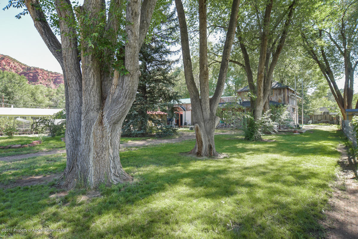 1234 County Road 106 Carbondale CO 81623
