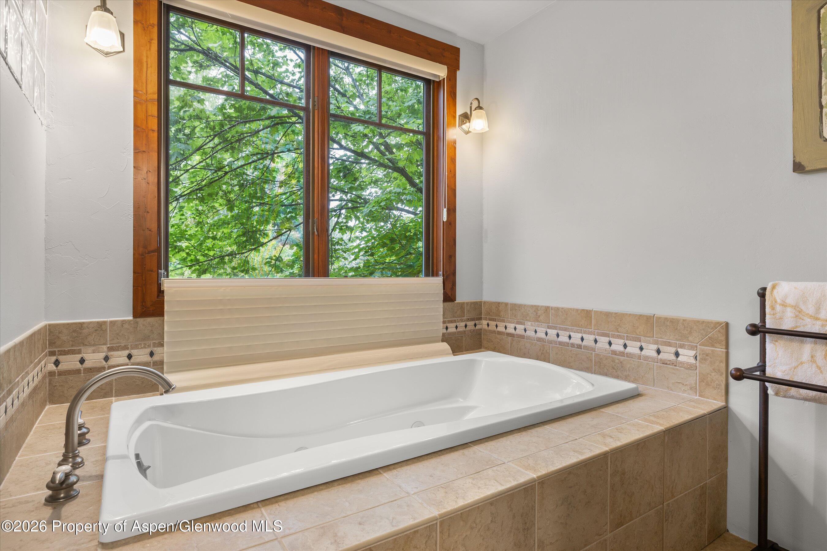 3862 Crystal Bridge Drive Carbondale CO 81623