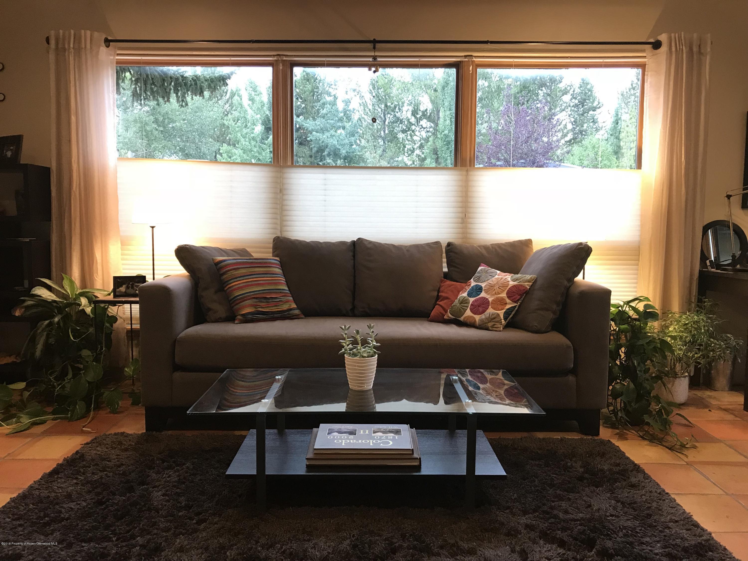 119 Maple Lane Aspen CO 81611