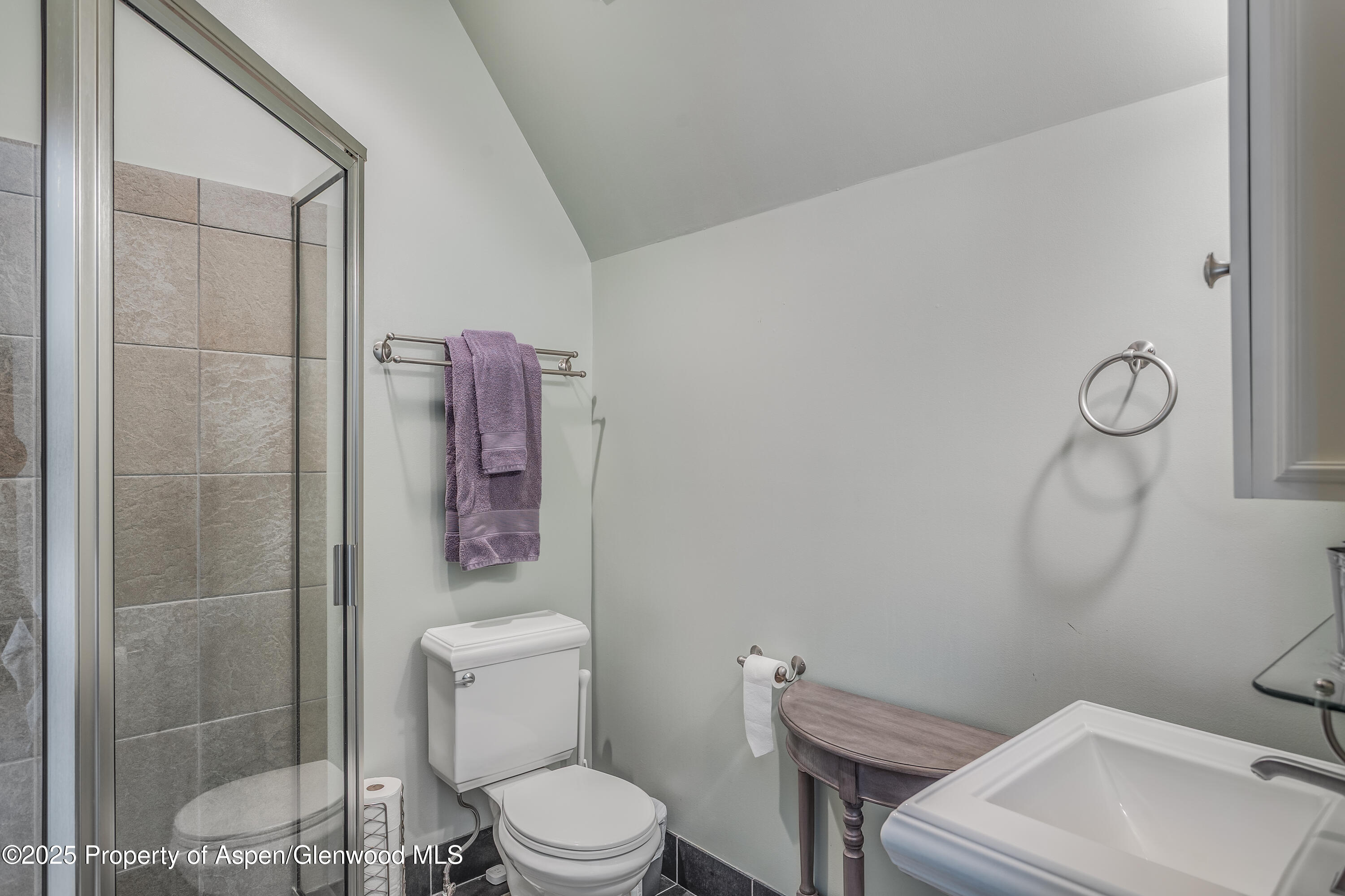 42 Midland Loop Carbondale CO 81623