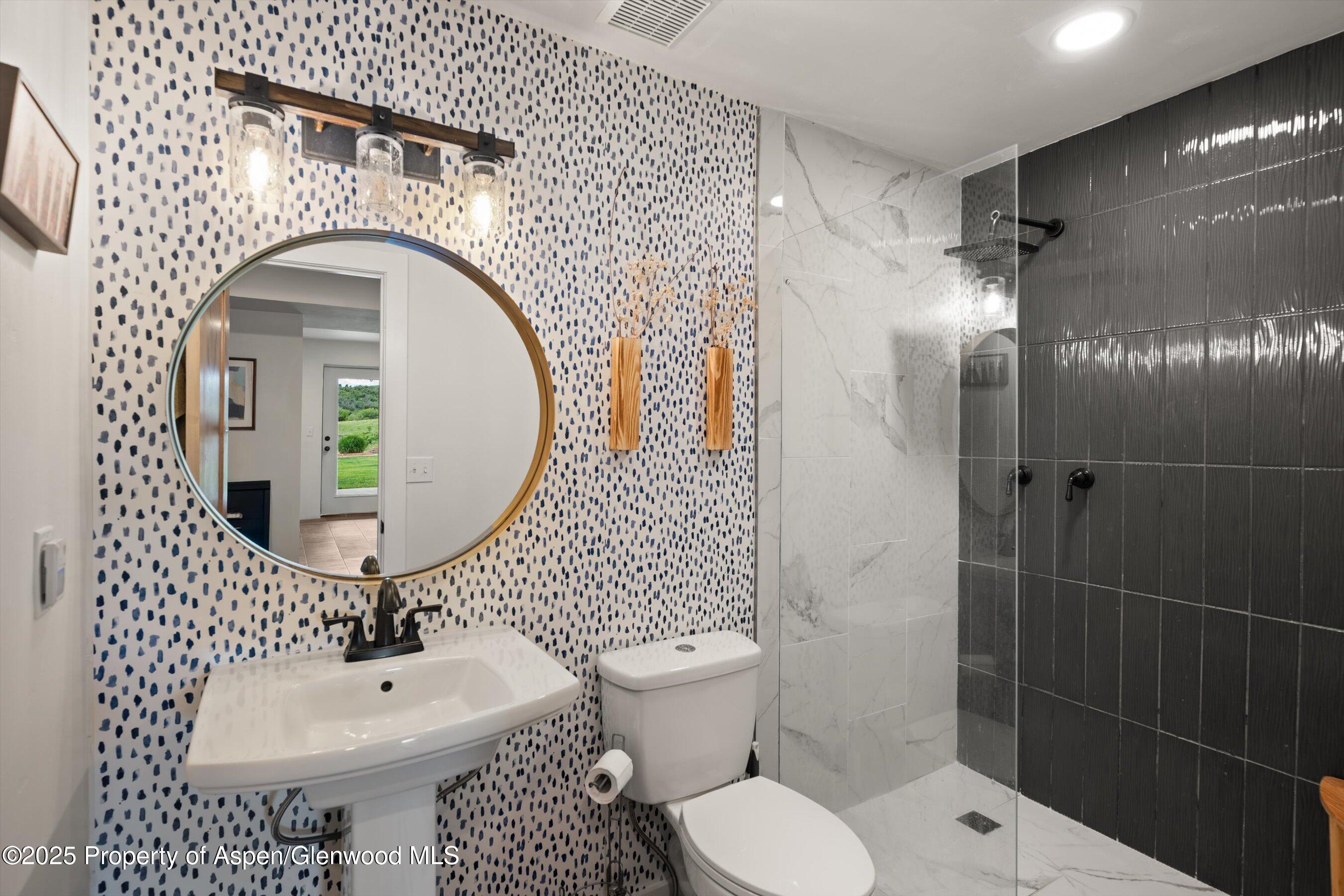 248 Basalt Mountain Drive Carbondale CO 81623