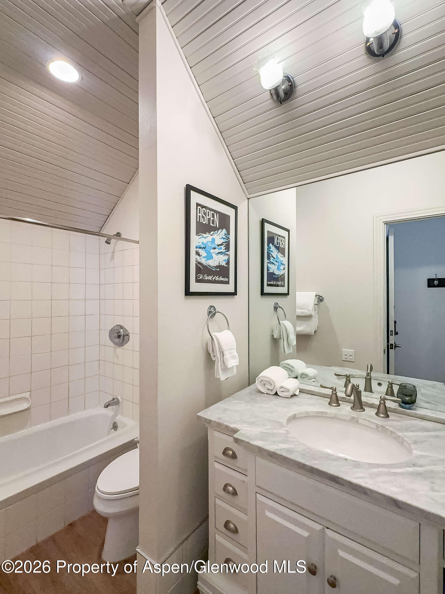 404 S Galena Street Aspen CO 81611