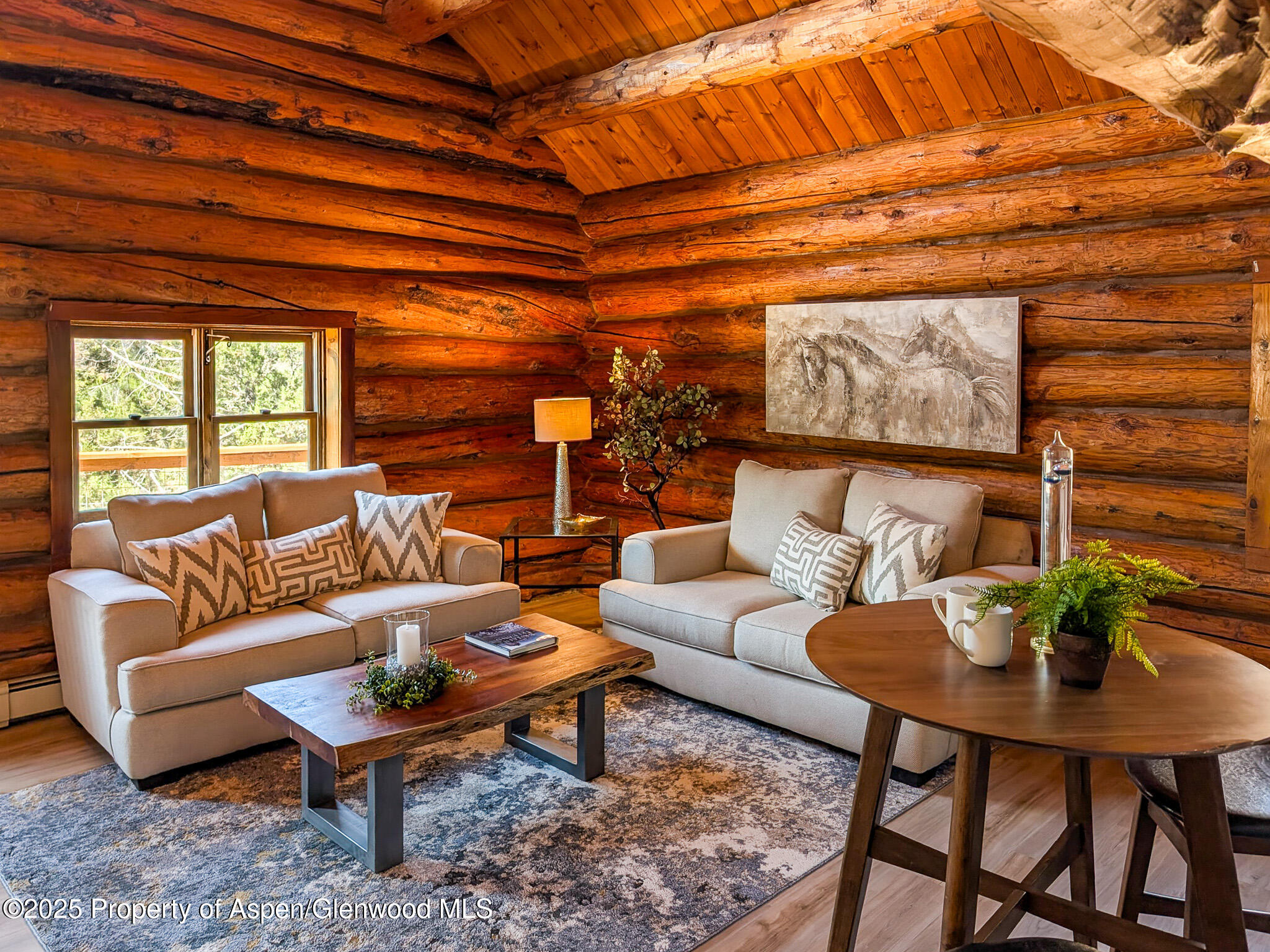 96 Apache Drive New Castle CO 81647