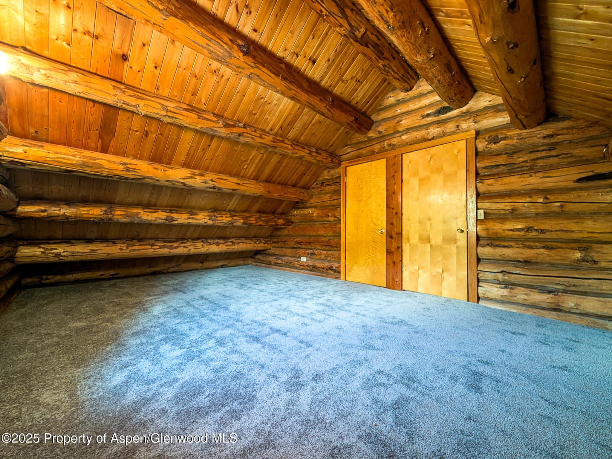 96 Apache Drive New Castle CO 81647