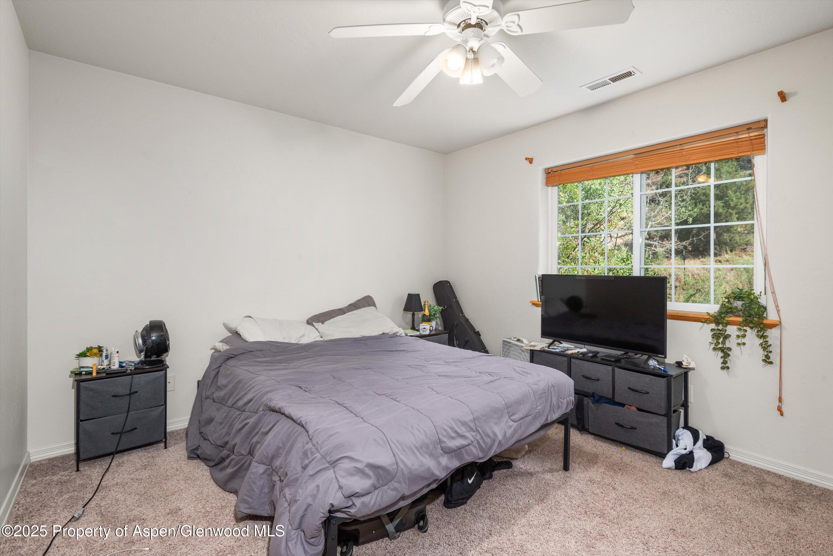 456 Black Bear Trail Carbondale CO 81623