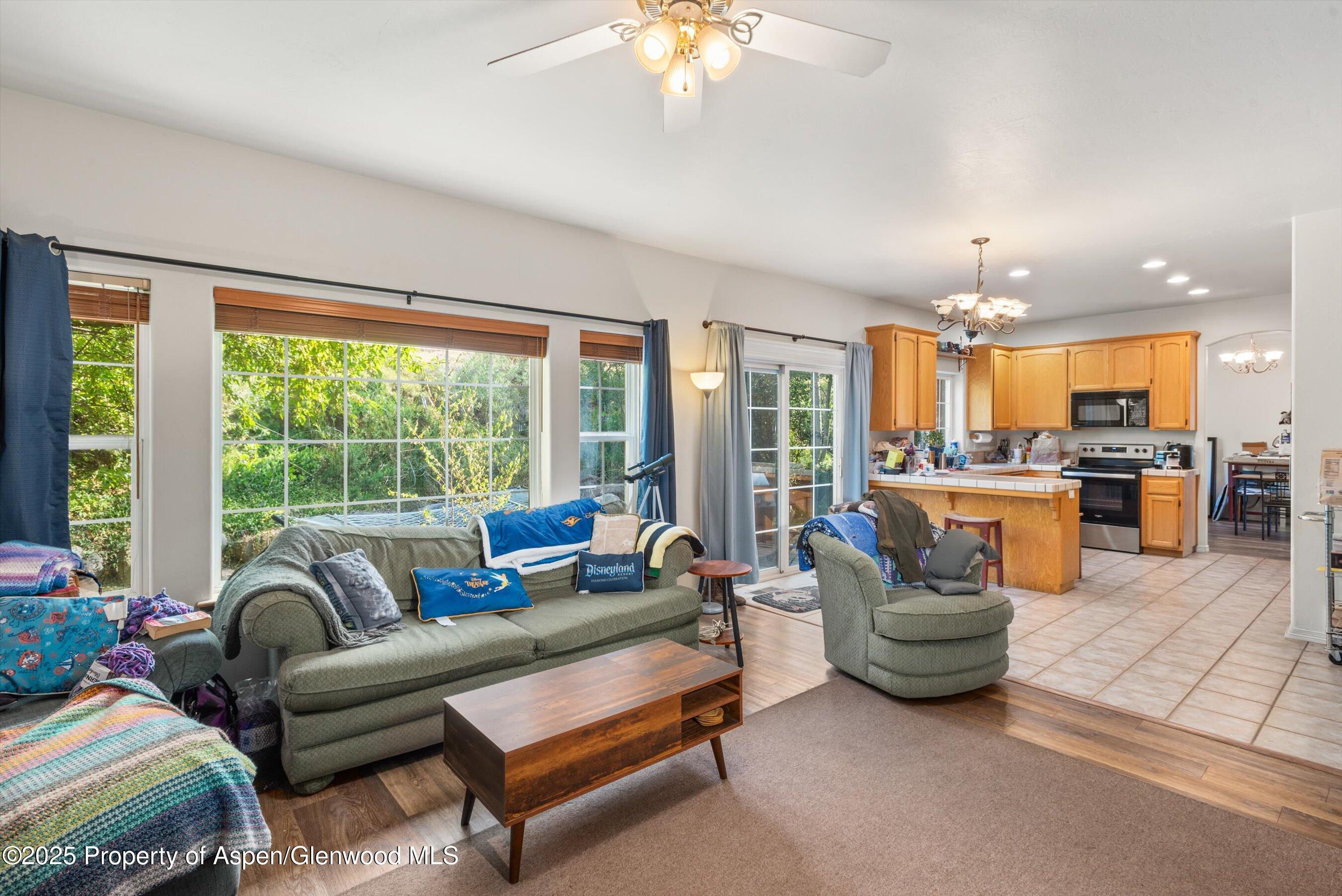 456 Black Bear Trail Carbondale CO 81623