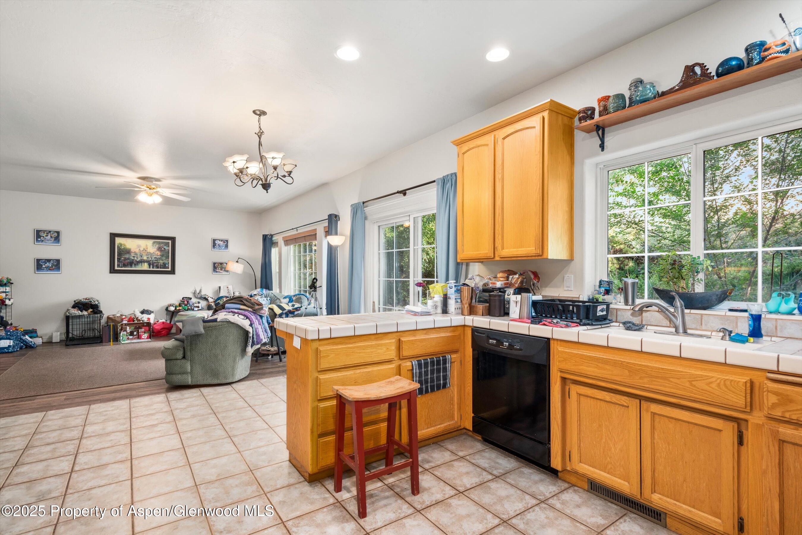 456 Black Bear Trail Carbondale CO 81623