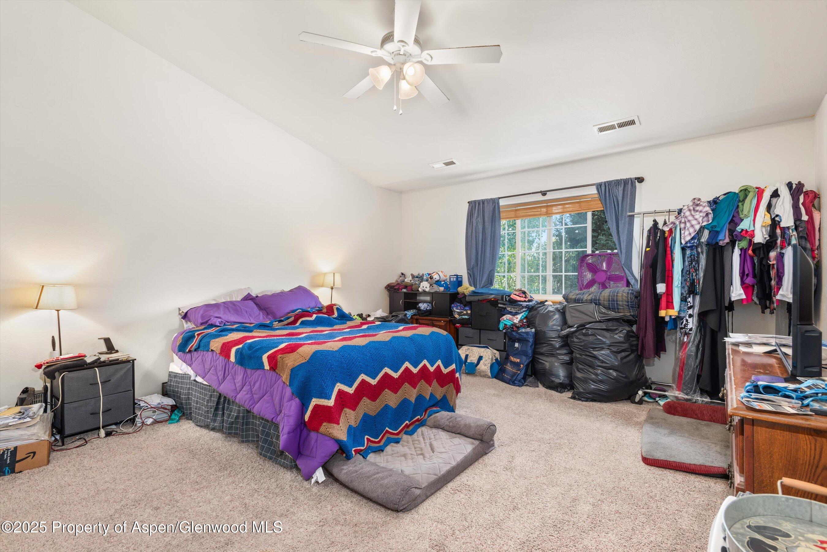 456 Black Bear Trail Carbondale CO 81623