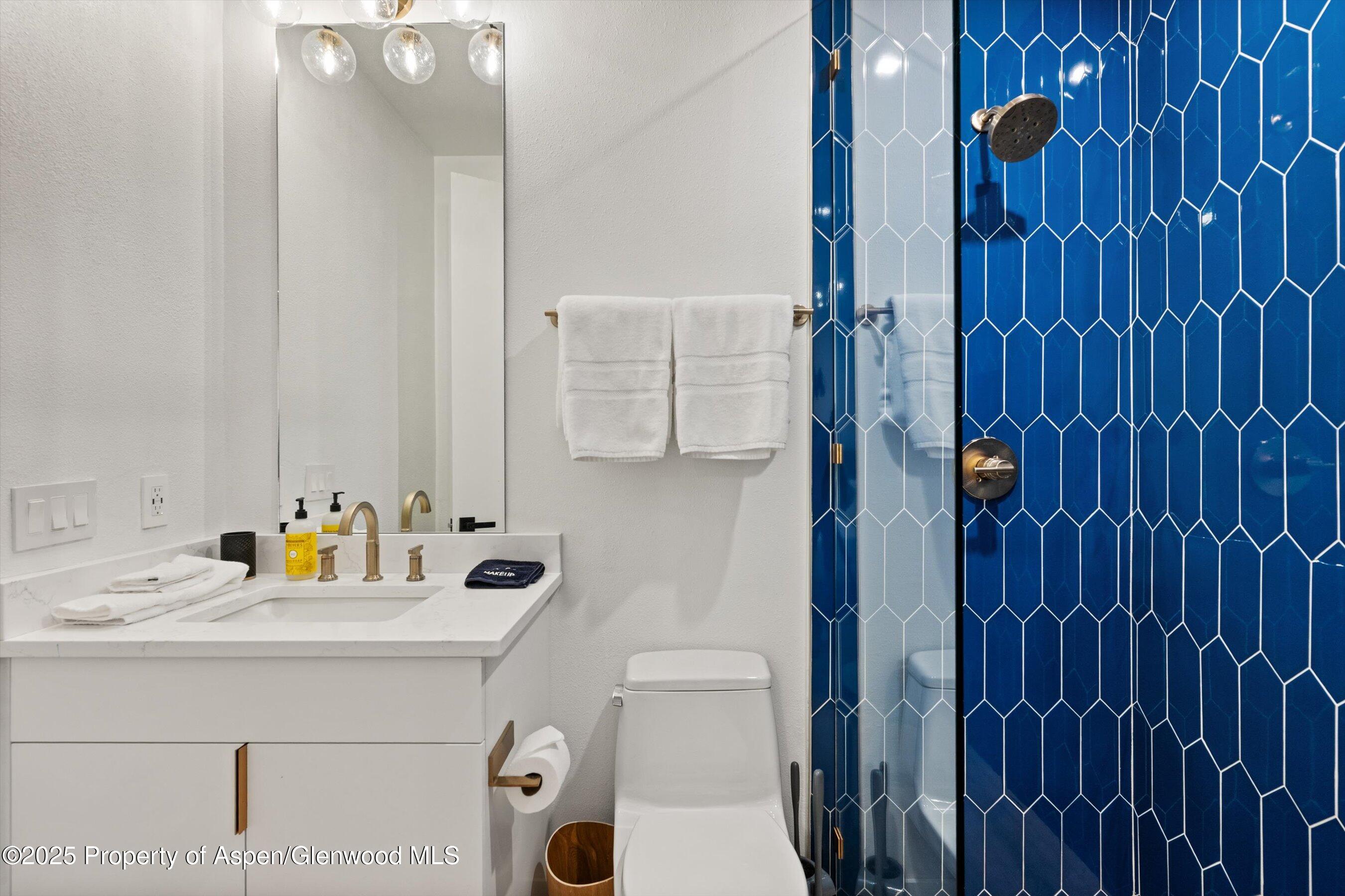 233 Stellar Lane Snowmass Village CO 81615