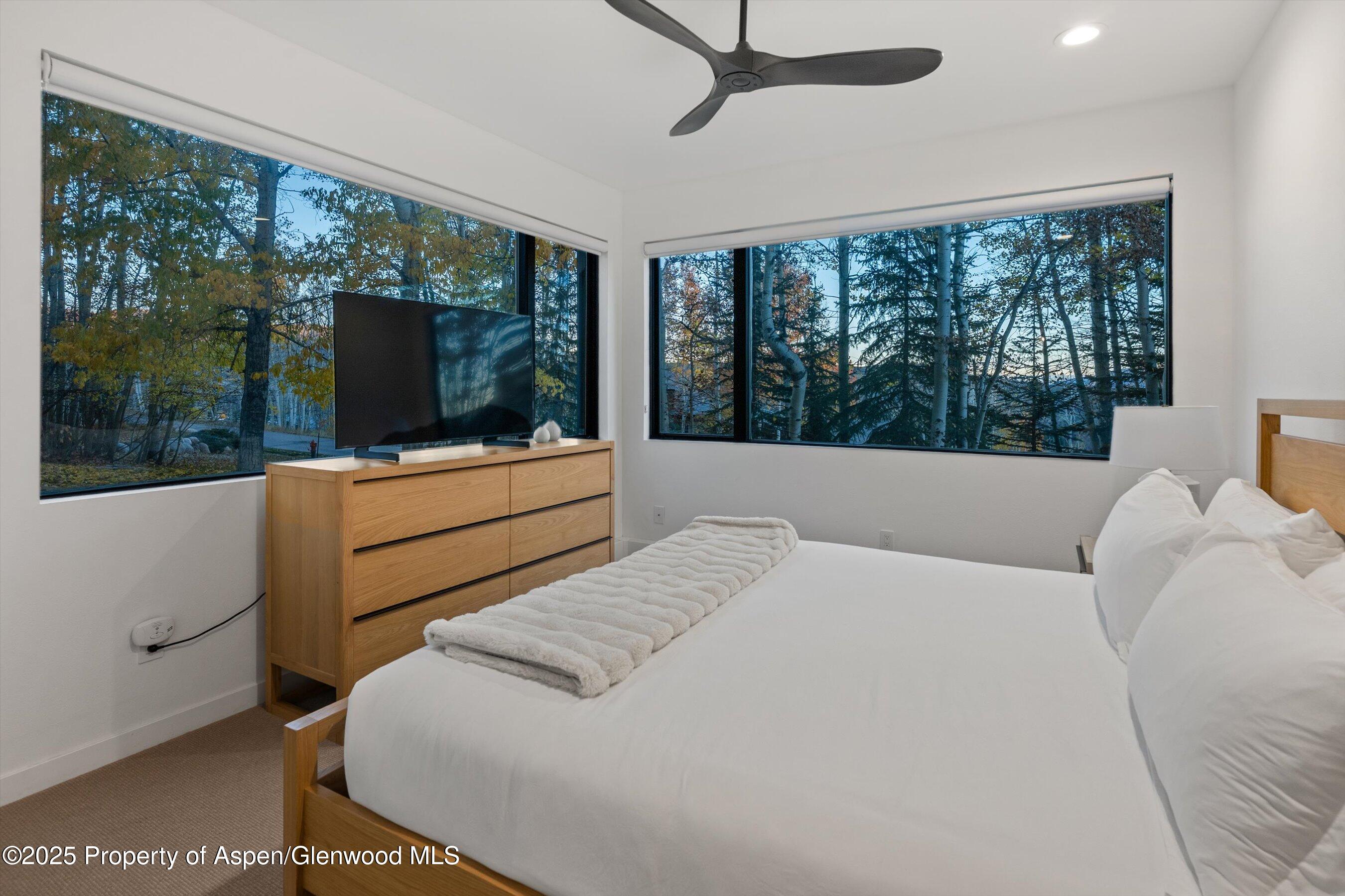 233 Stellar Lane Snowmass Village CO 81615