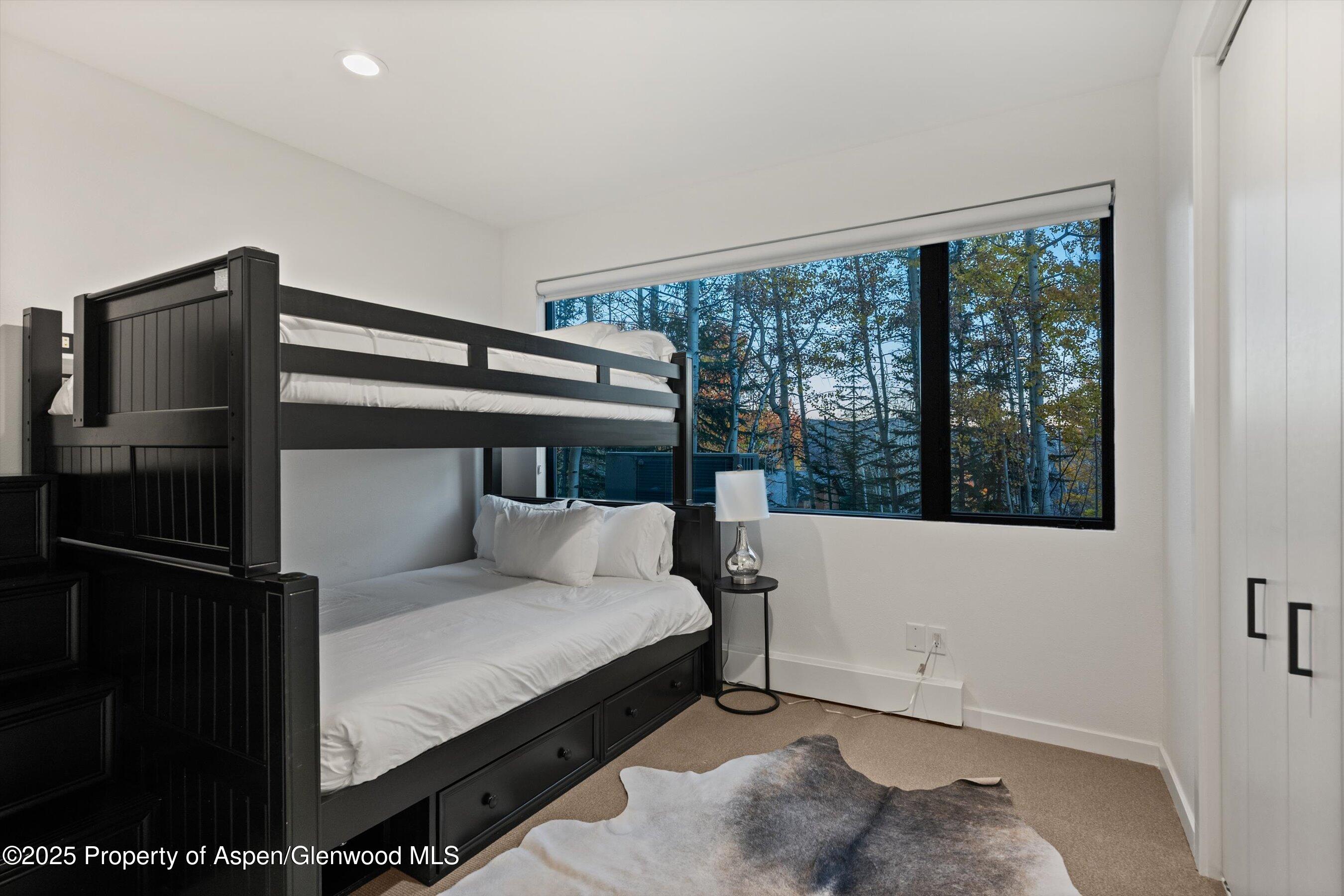 233 Stellar Lane Snowmass Village CO 81615