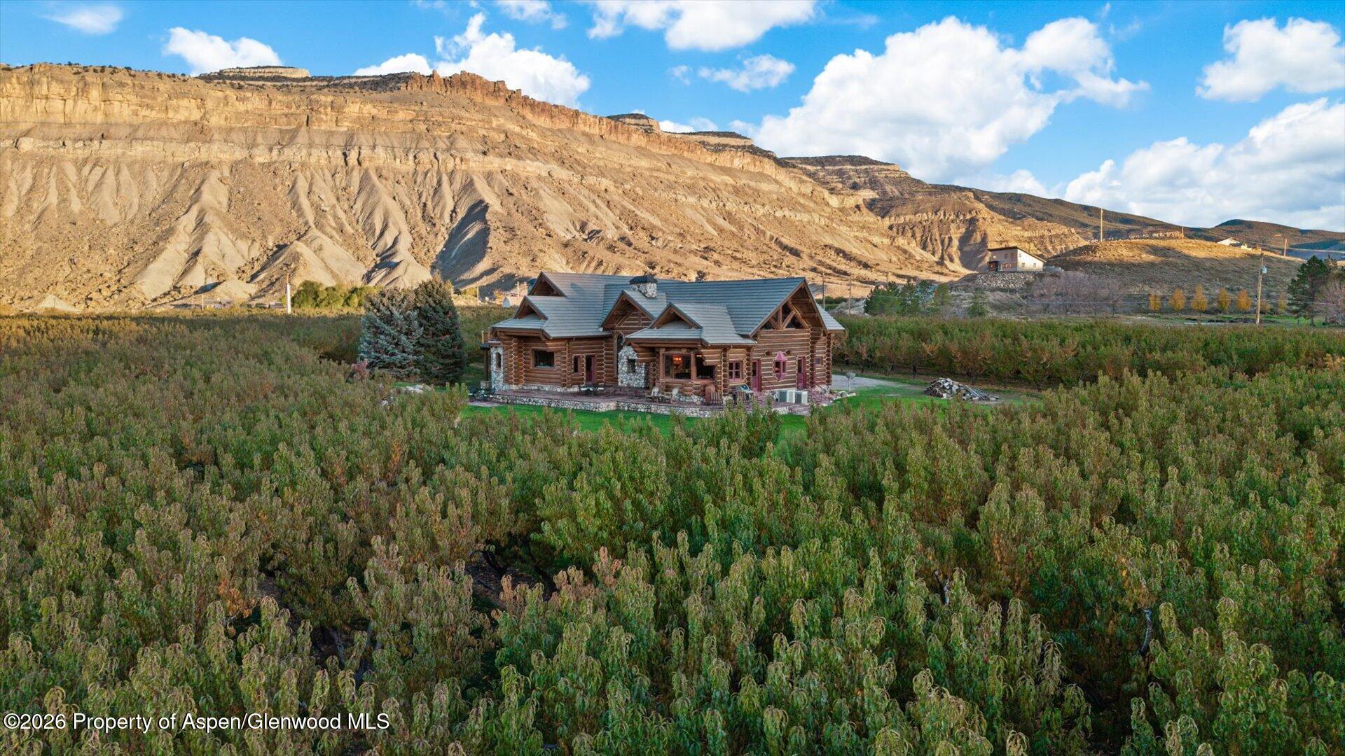3875 F 3/4 Road Palisade CO 81526