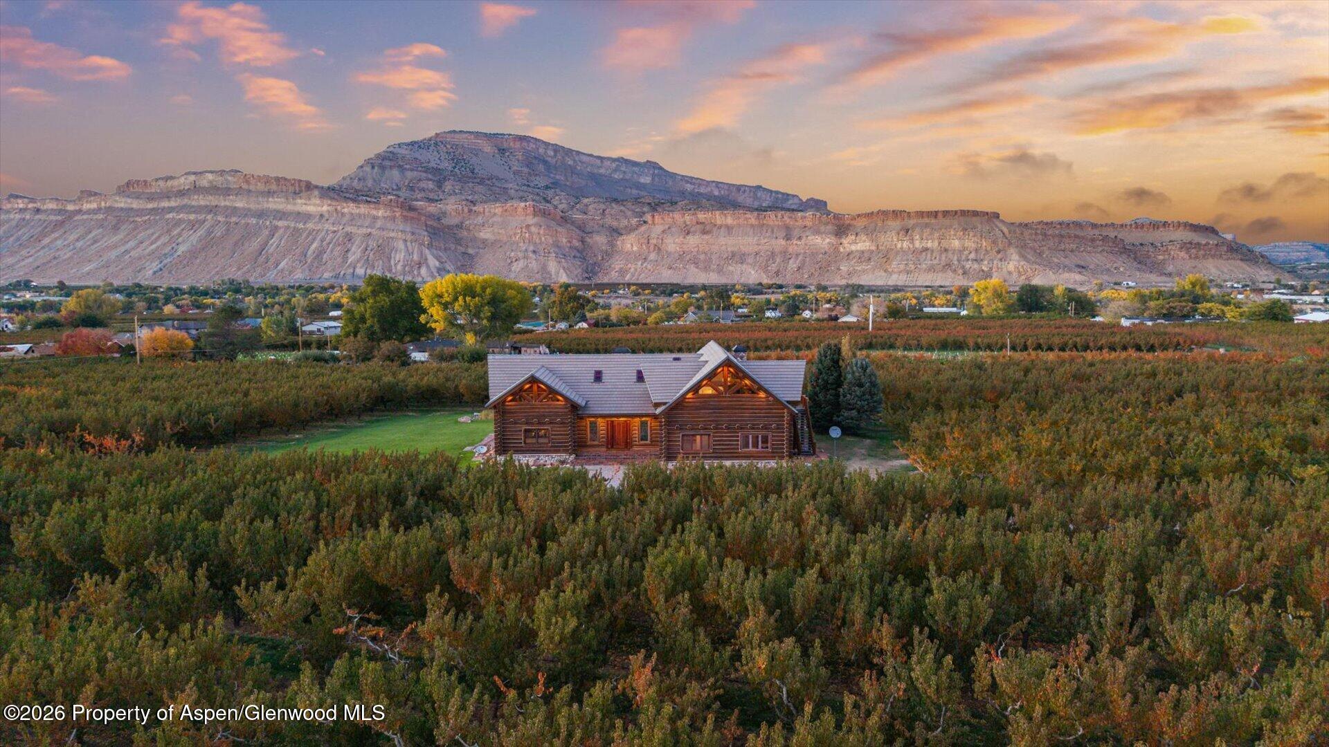 3875 F 3/4 Road Palisade CO 81526