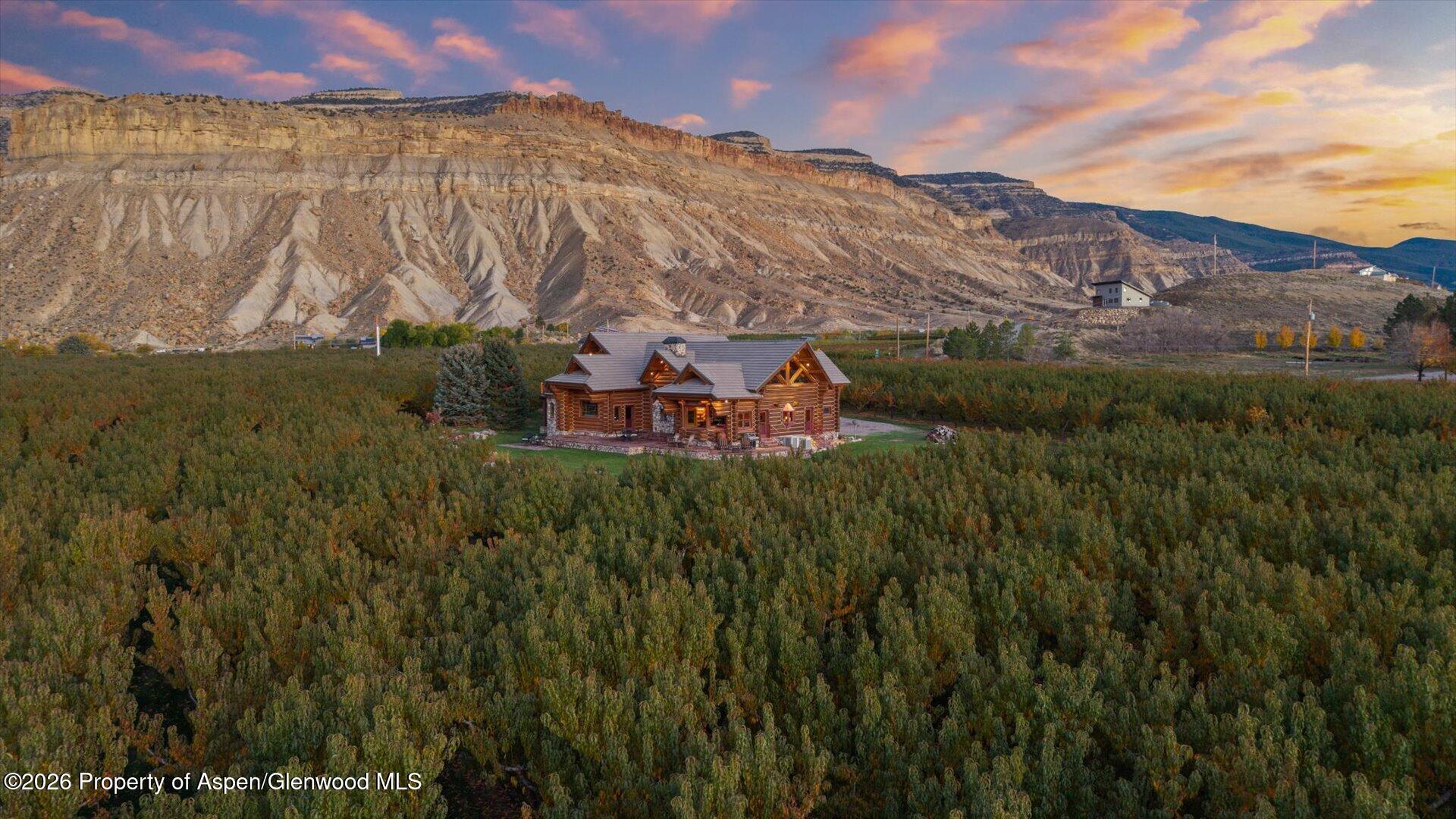 3875 F 3/4 Road Palisade CO 81526