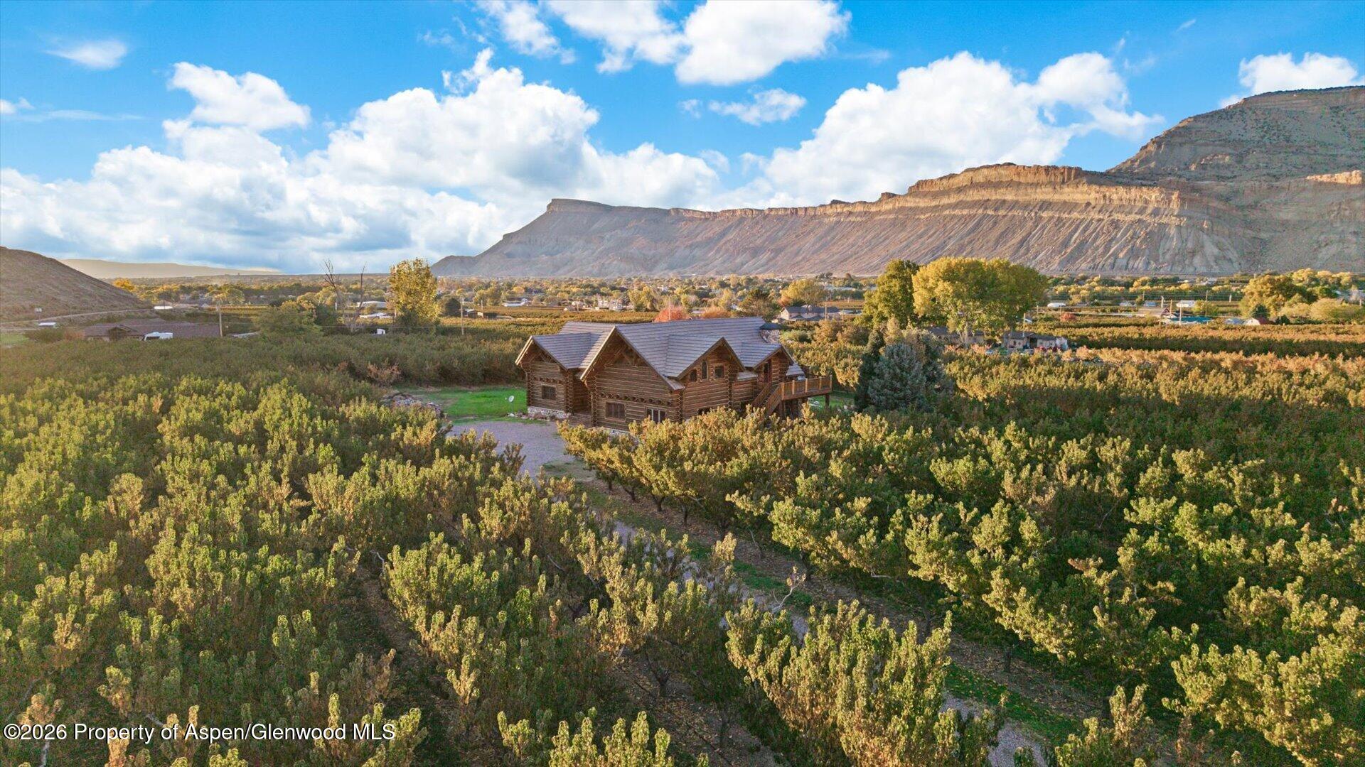 3875 F 3/4 Road Palisade CO 81526