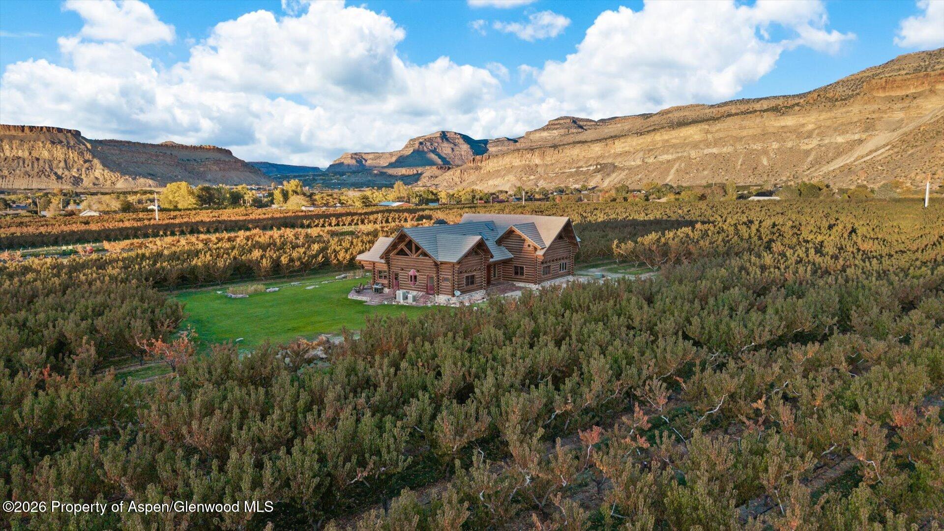 3875 F 3/4 Road Palisade CO 81526