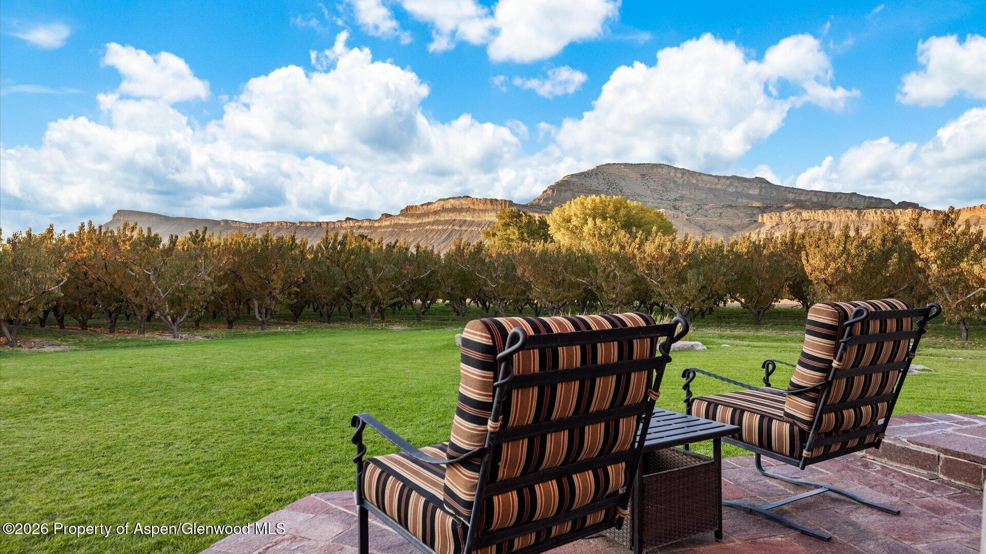 3875 F 3/4 Road Palisade CO 81526