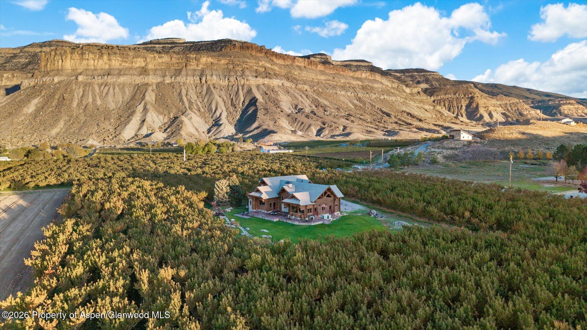 3875 F 3/4 Road Palisade CO 81526