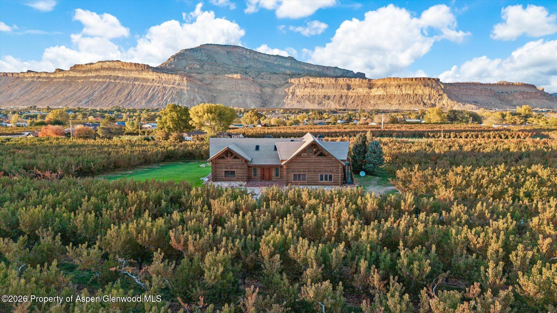 3875 F 3/4 Road Palisade CO 81526